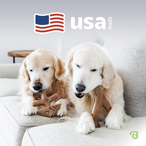 Miniatura 5 de Benebone Paquete de 2 juguetes masticables duraderos para perros FishboneWishbone, pescado real, tocino real, fabricado en Estados Unidos, grande