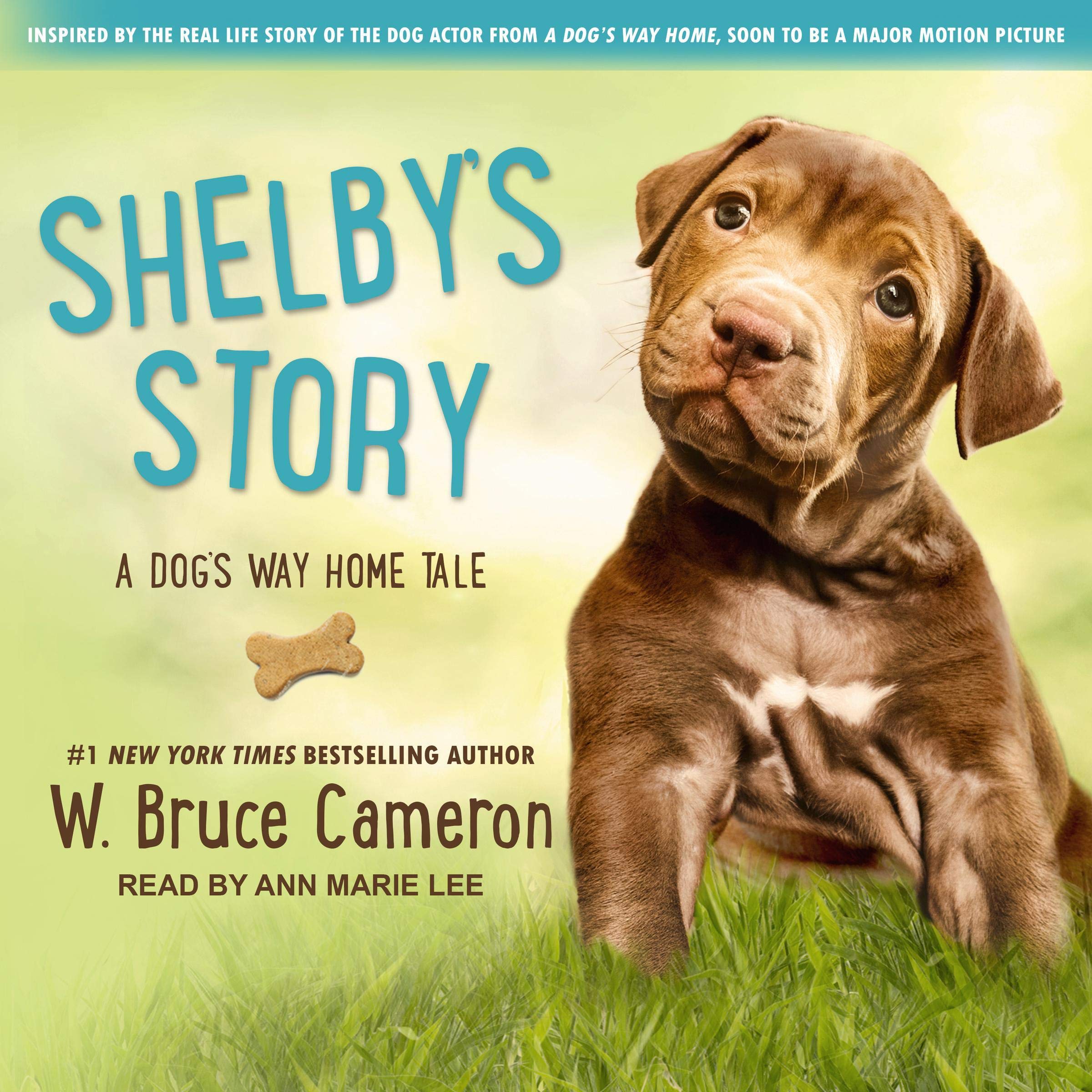 Cover art for Shelby’s Story