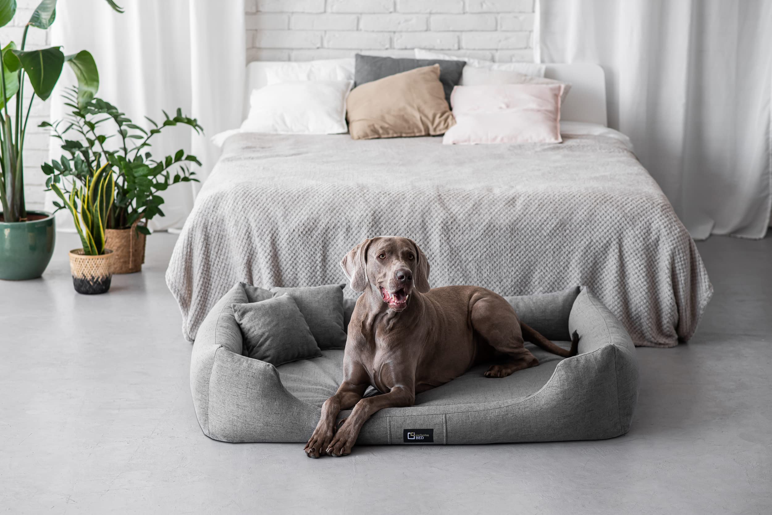 Lit orthopédique pour Chien Bruno pour Grands, Moyens et Petits Chiens - Coussin pour Chien, Matelas pour Chien Mousse à mémoire de Forme Confortable Durable (L, Gris)