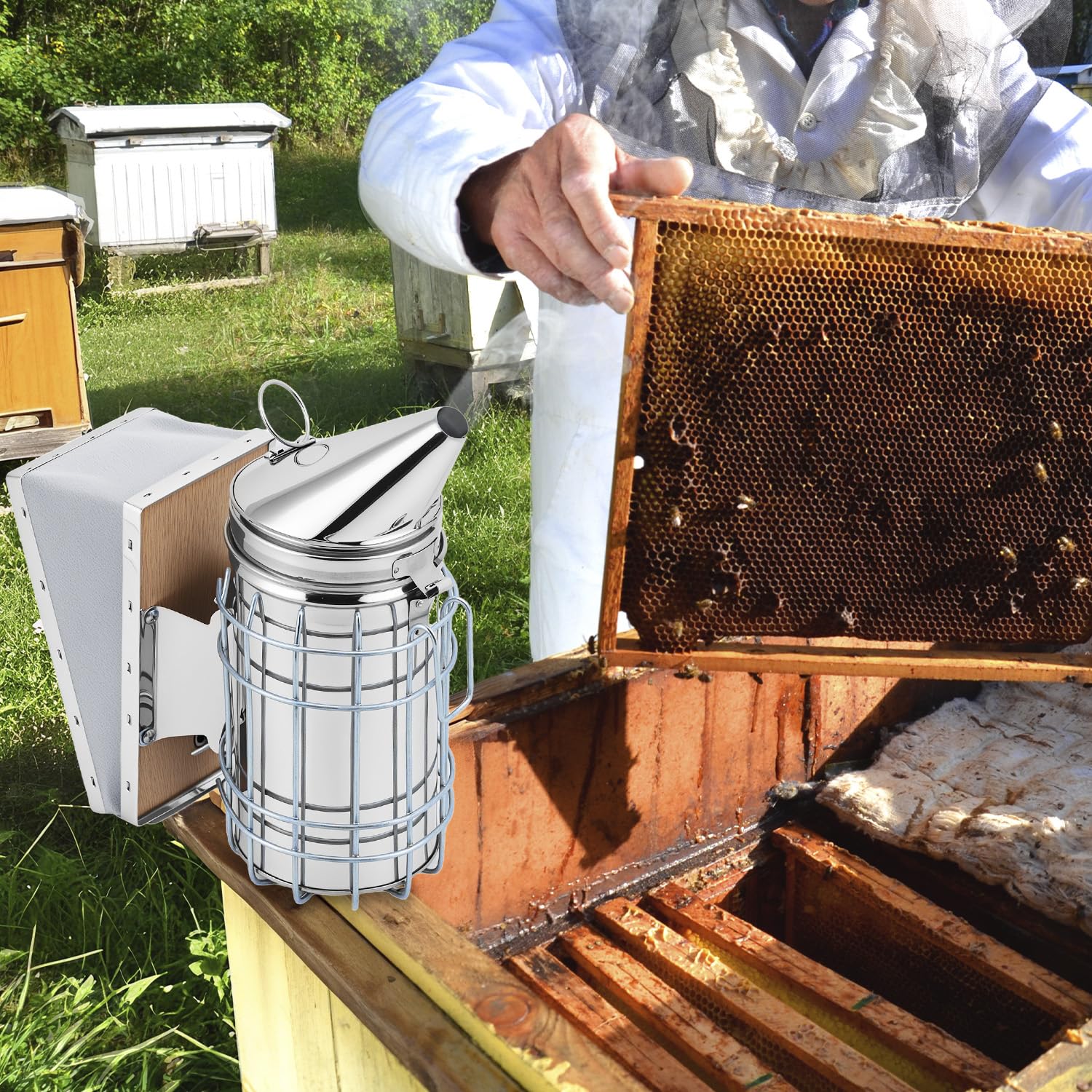 QWORK® Fumeur Bee Hive en acier inoxydable, fumeur d'abeille, fournitures d'apiculture