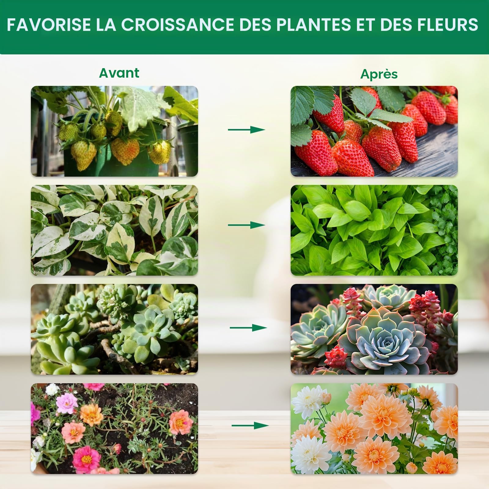 Lampe de culture de table pour le démarrage des graines, 25 W, lumière de bonsaï, hauteur réglable de 40,6 à 61 cm, lampes de culture de bureau pour toutes les plantes d'intérieur, fonction