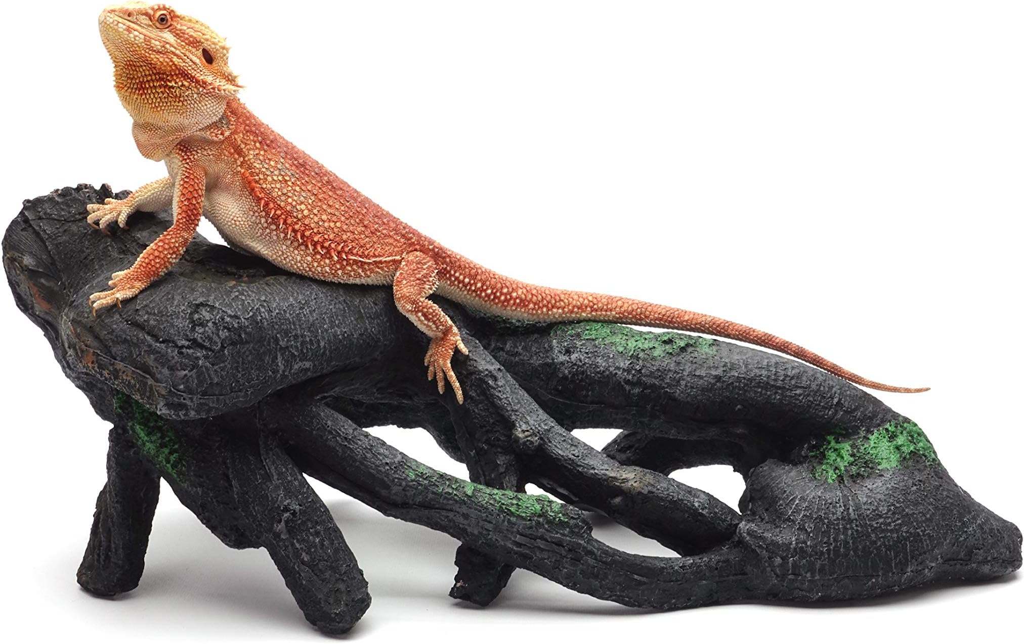 CAROLINACUSTOMCAGES Gnarled Large Root, Black, Reptile Habitat Accessory