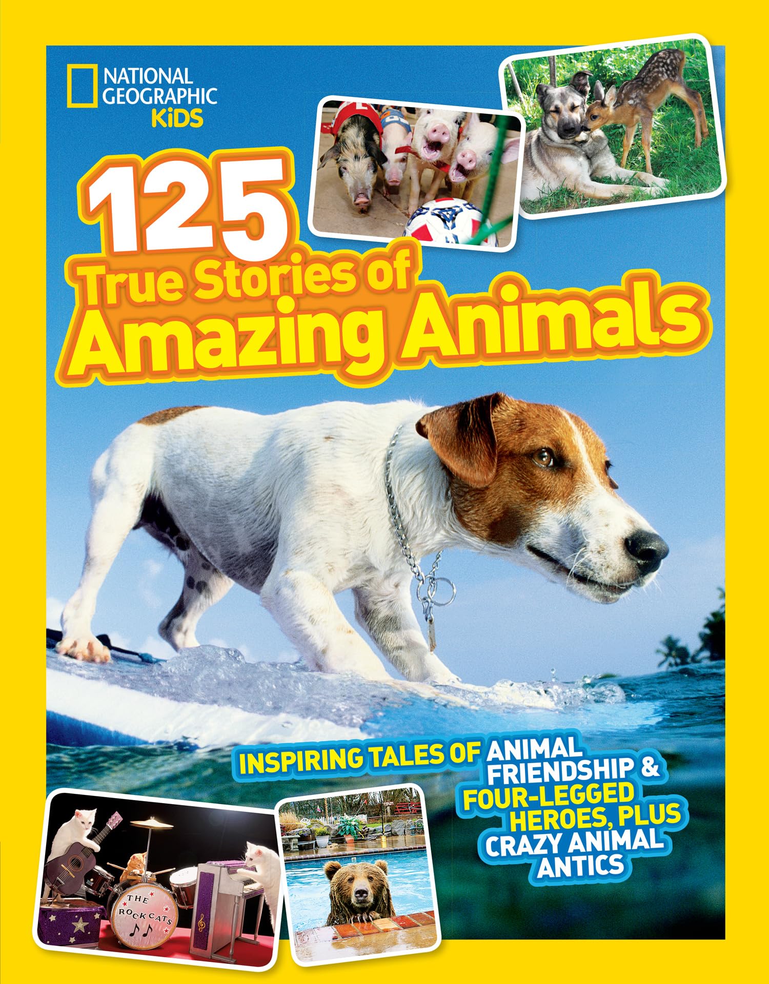 125 True Stories of Amazing Animals: Inspiring tales of animal friendship & four-legged heroes, plus crazy animal antics (National Geographic Kids)