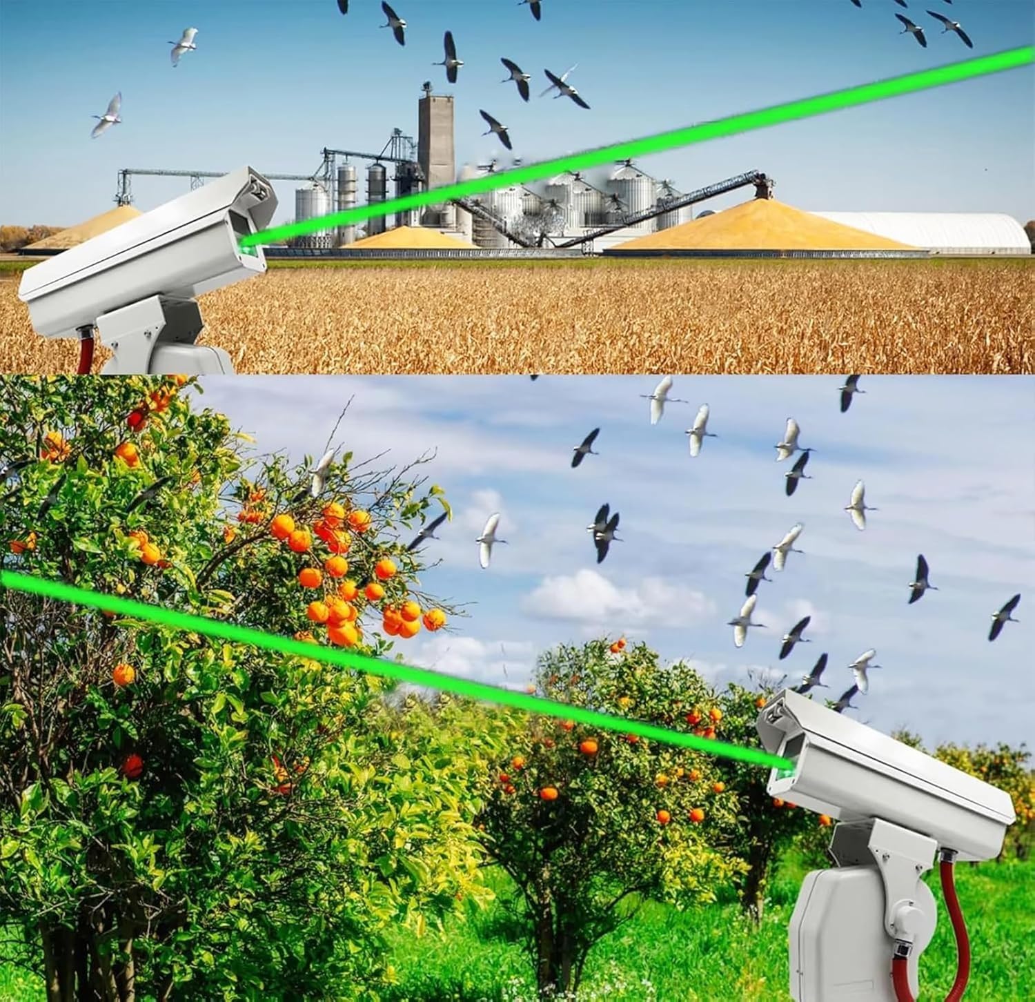 Sistema Inteligente de Control de Aves Mediante aplicación móvil: un Sistema de Control de plagas de Aves con Cobertura Total de 360° Que Funciona Silenciosamente y es fácil de Usar.(A)