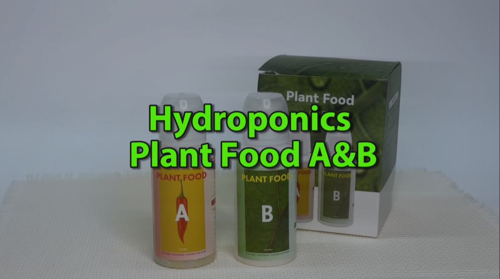 Amazon.com : inbloom Vibrant Wildflower & Fruit Mixd Seed