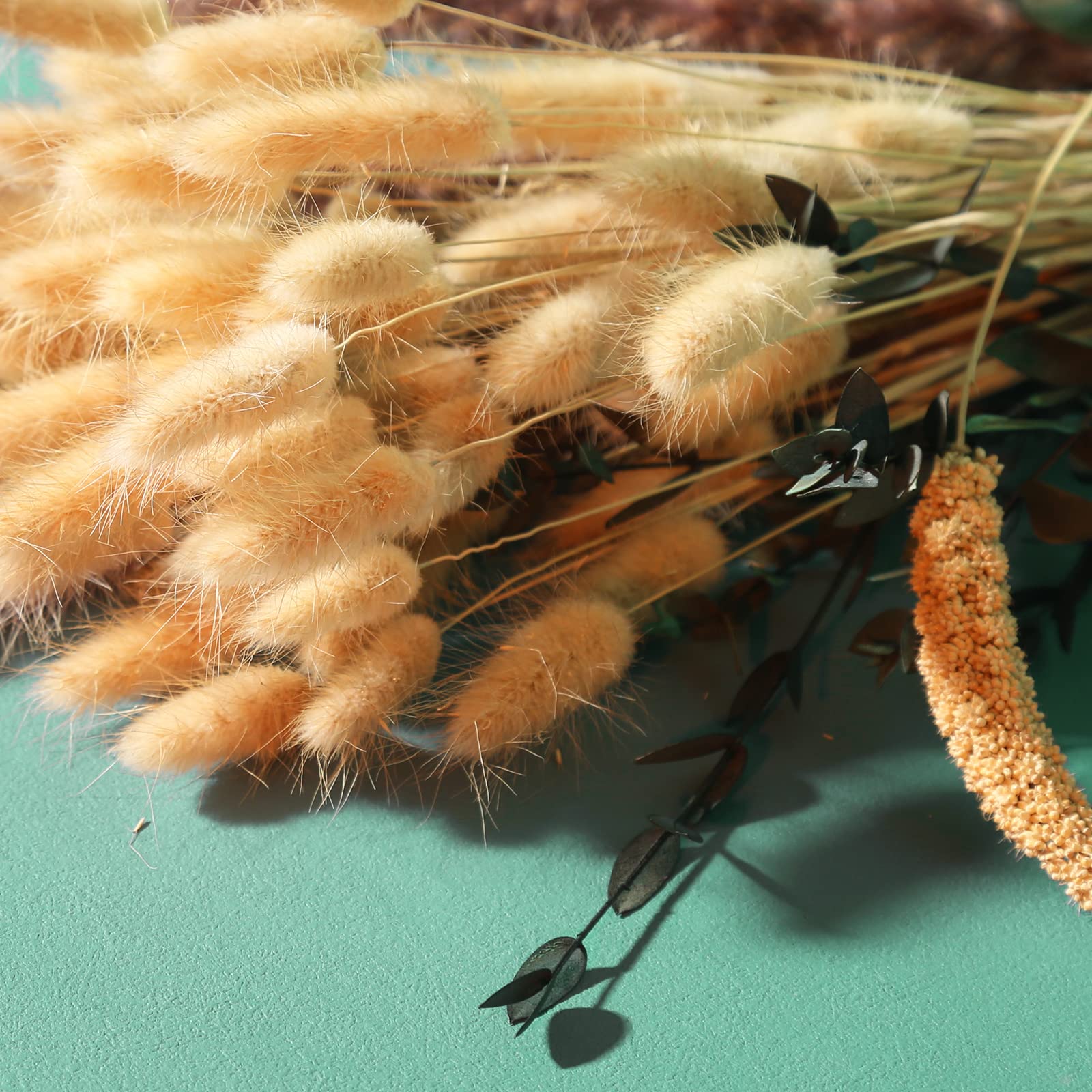 RAVEGO Herbe De Pampa Séchée, 82 Pcs Fleurs Séchées Naturelles, Herbe De Pampa Marron/Blanc Frondes Moelleuses, Bouquet De Fleurs Séchées De Lagurus Et De Carex (Style 2