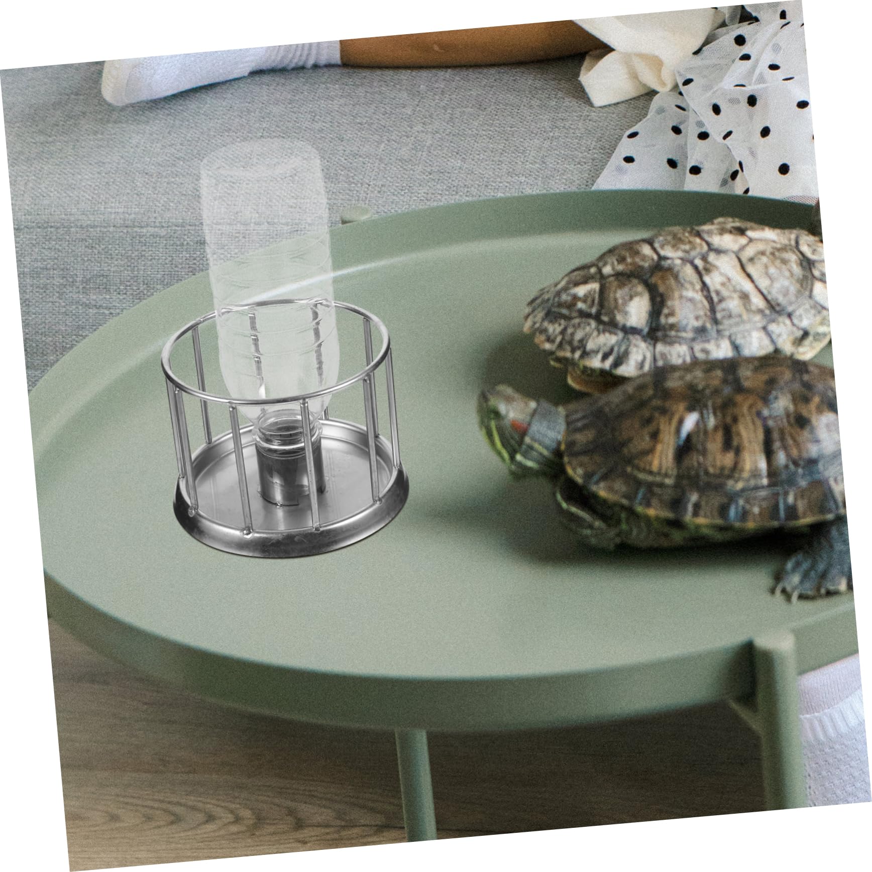 INOOMP 5pezzi Ciotola per Inossidabile per Rettili e Tartarughe Distributore Mini per e Resistente Idratazione Domestici