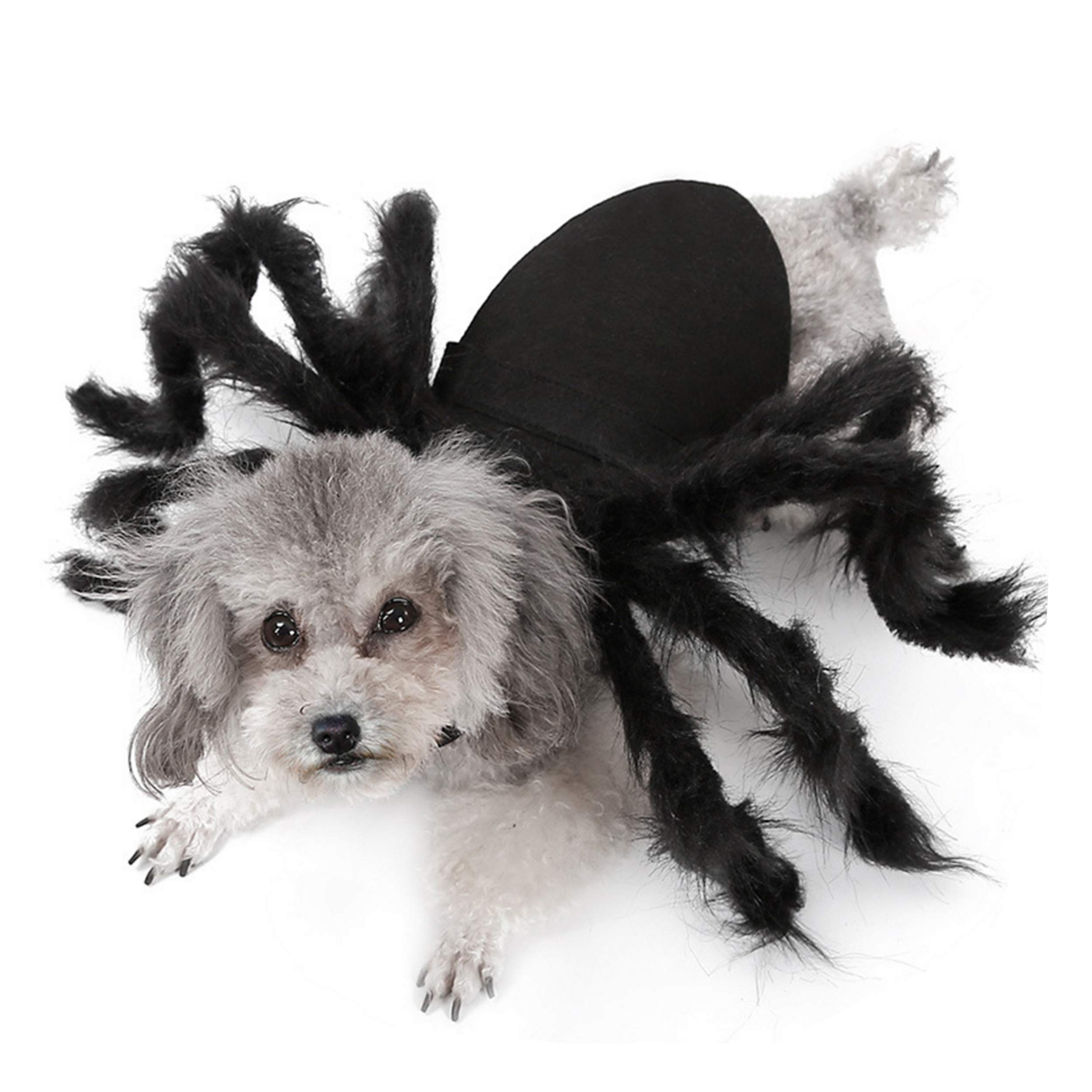Buy NucLighter Pet Spider Harness y Costume Funny y Halloween Costume