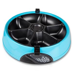 Wholesale Home Intuition 6 Meal Automatic Pet Feeder with Programmable Timer, Light Blue