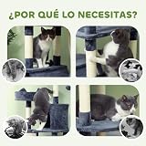 Ver la foto 6