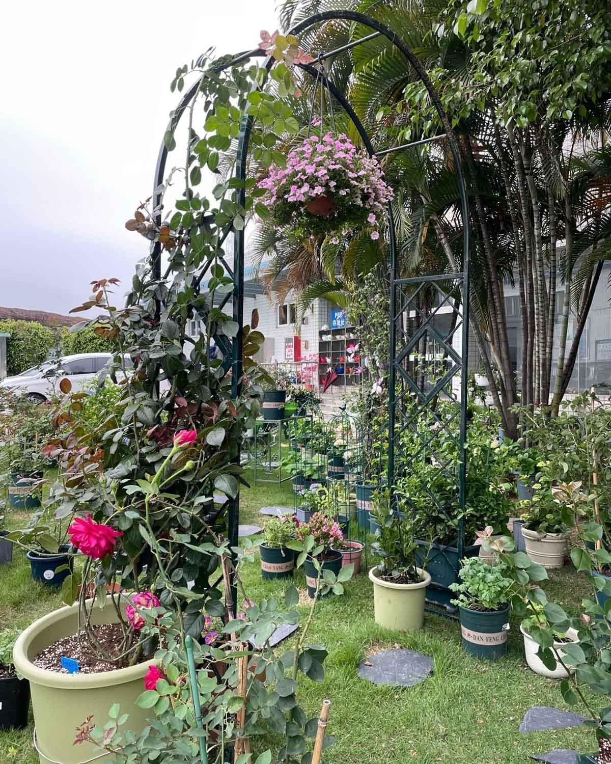 1pcs Metal Pergola Arbor Large Garden Arch and Arbors for Various Climbing Plant Trellis Archway Wide Rose Arches (groen W340xh230cm)