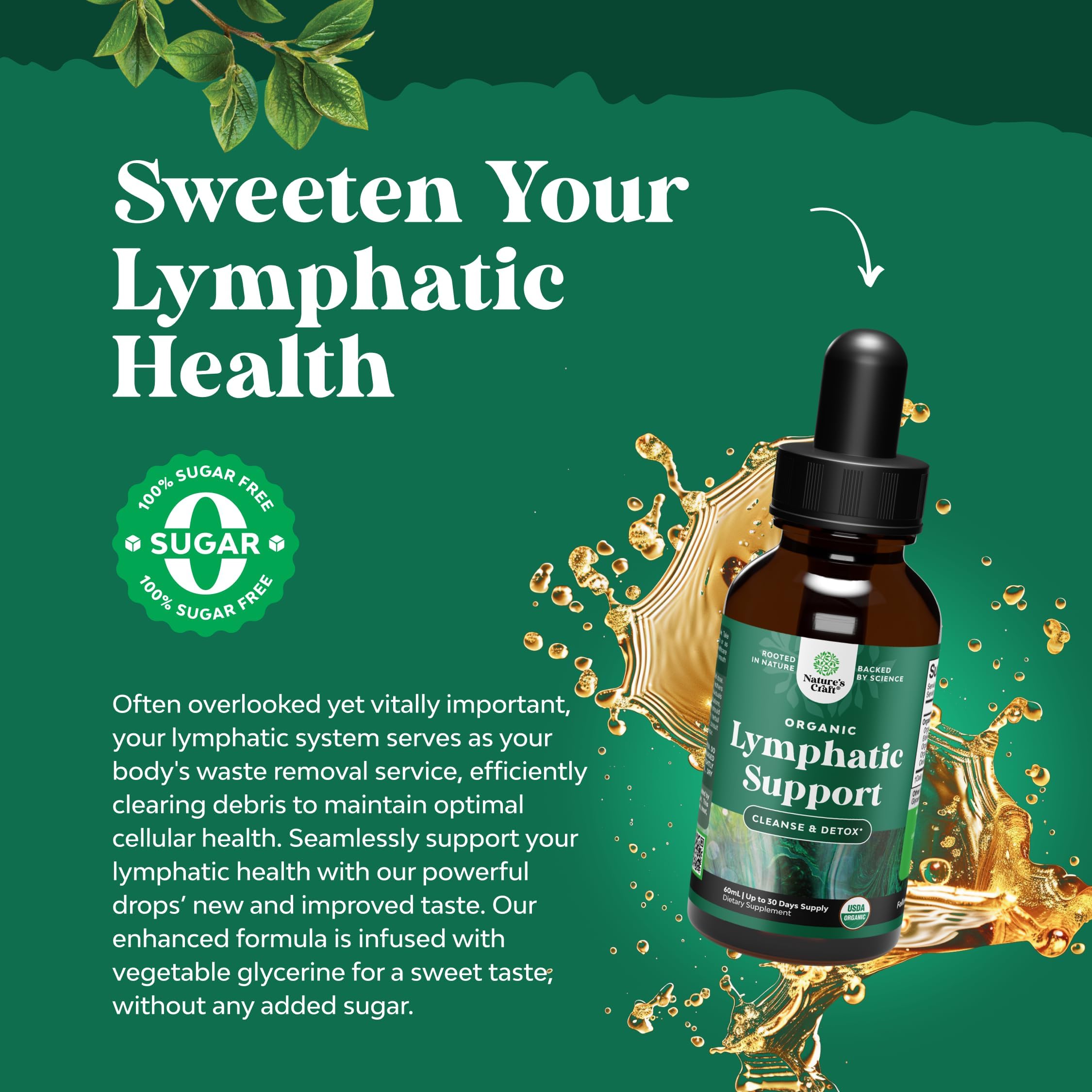 Organic Lymphatic Drainage Drops - Organic Cleavers & Echinacea - 2 Fl Oz — Amazon image 3