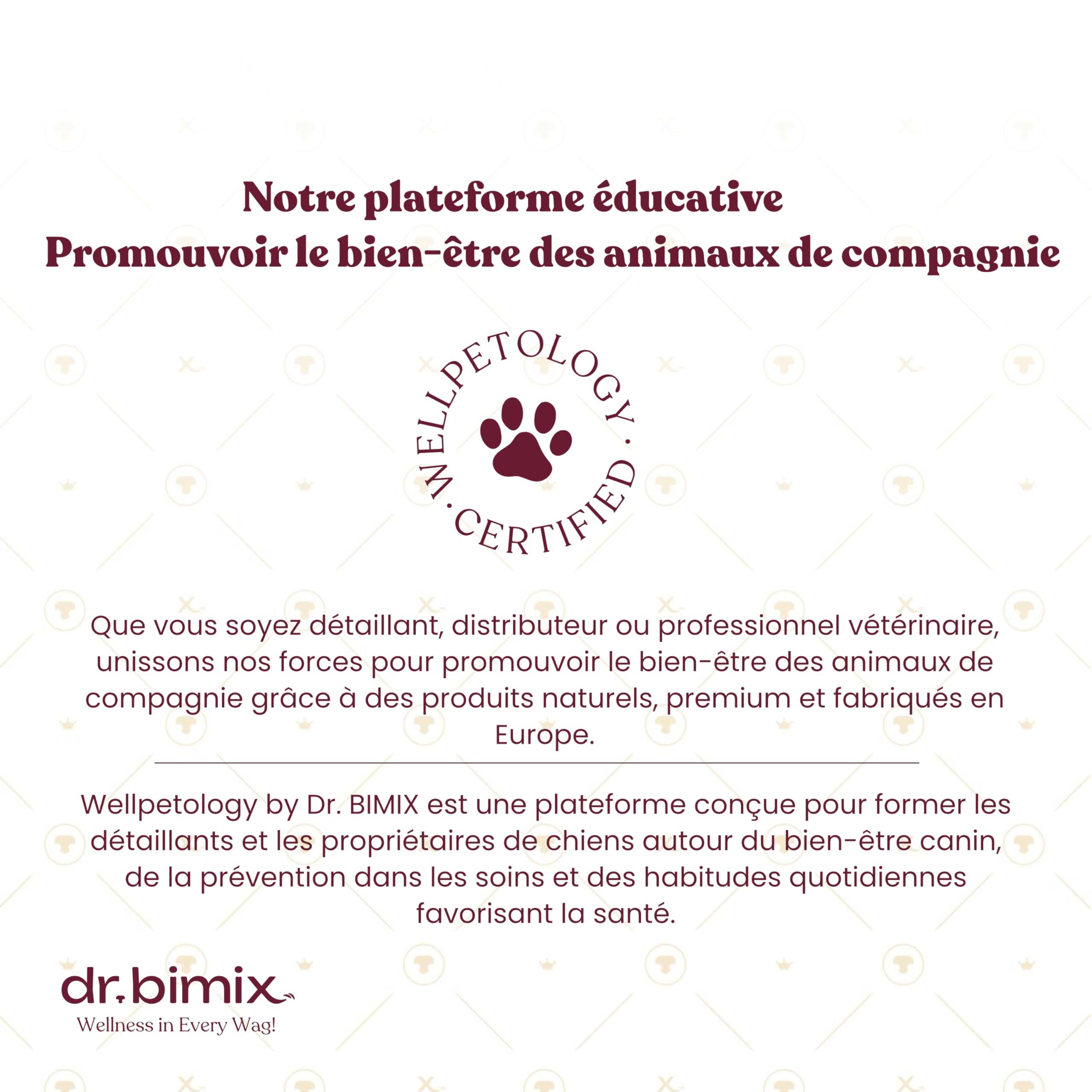 Pattes de Canard pour Chiens – Friandises Naturelles Riches en protéines et collagène – 450 g