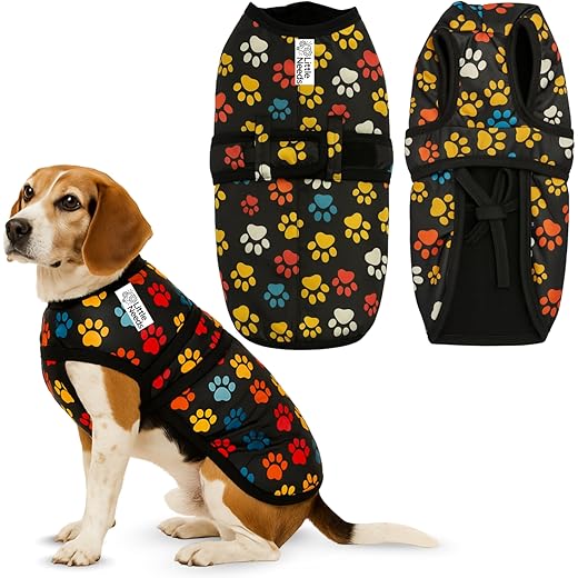 Little Needs Dog Winter Jacket - Paw Print 20 Inch