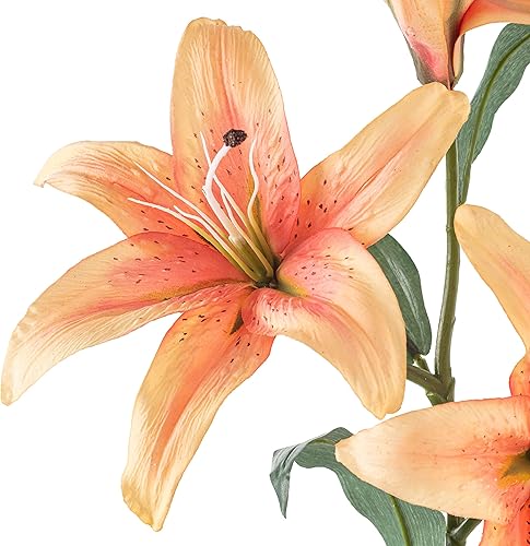 Miniatura 9 de Ashland Michaels Casablanca Tallo de lirio