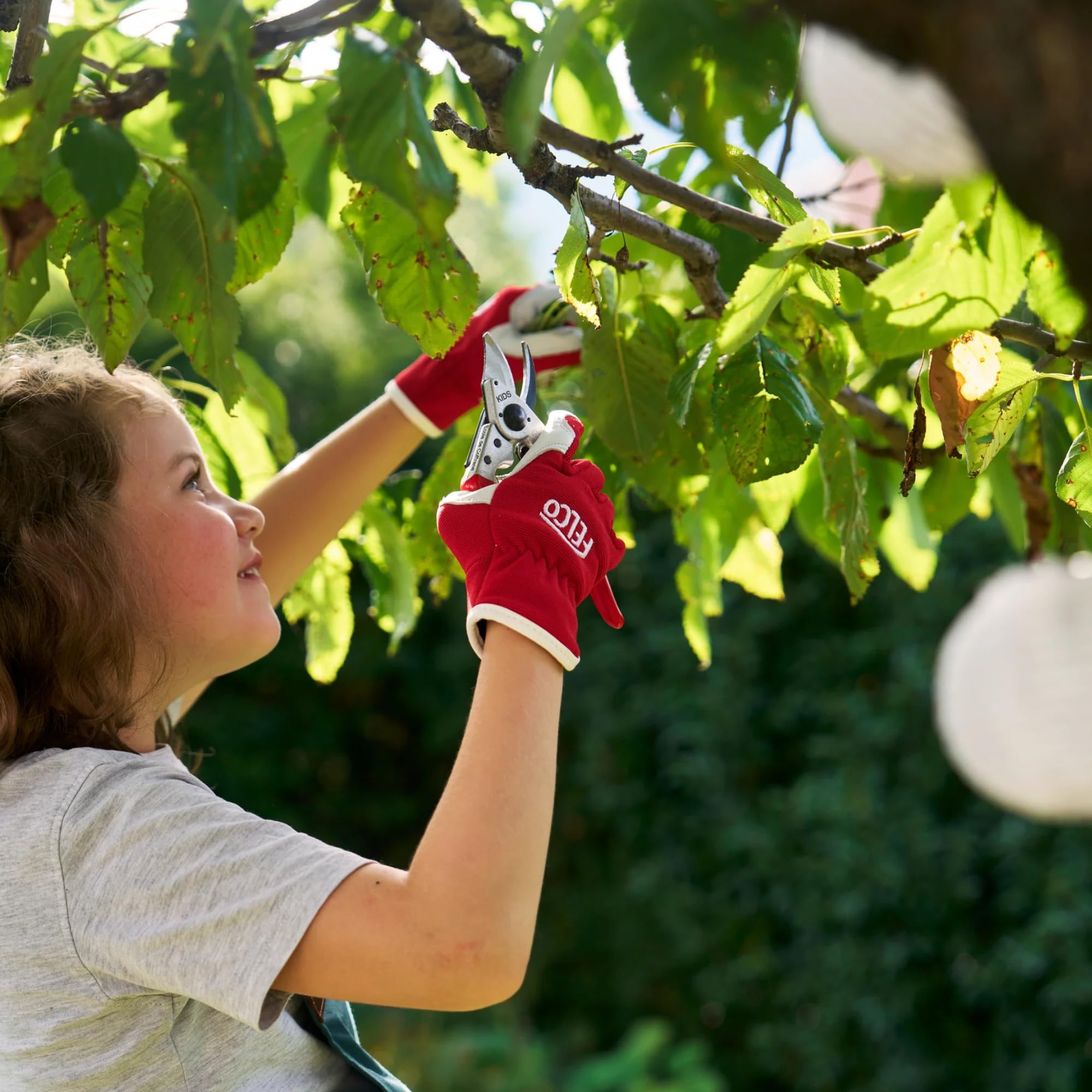 FELCO 14 KIDS nożyce ogrodowe dla dzieci od 8 lat, ergonomiczne, z podwójną grzechotką, okrągłe ostrze z hartowanej stali, uchwyt aluminiowy, wygodny do nauki cięcia, szwajcarska jakość