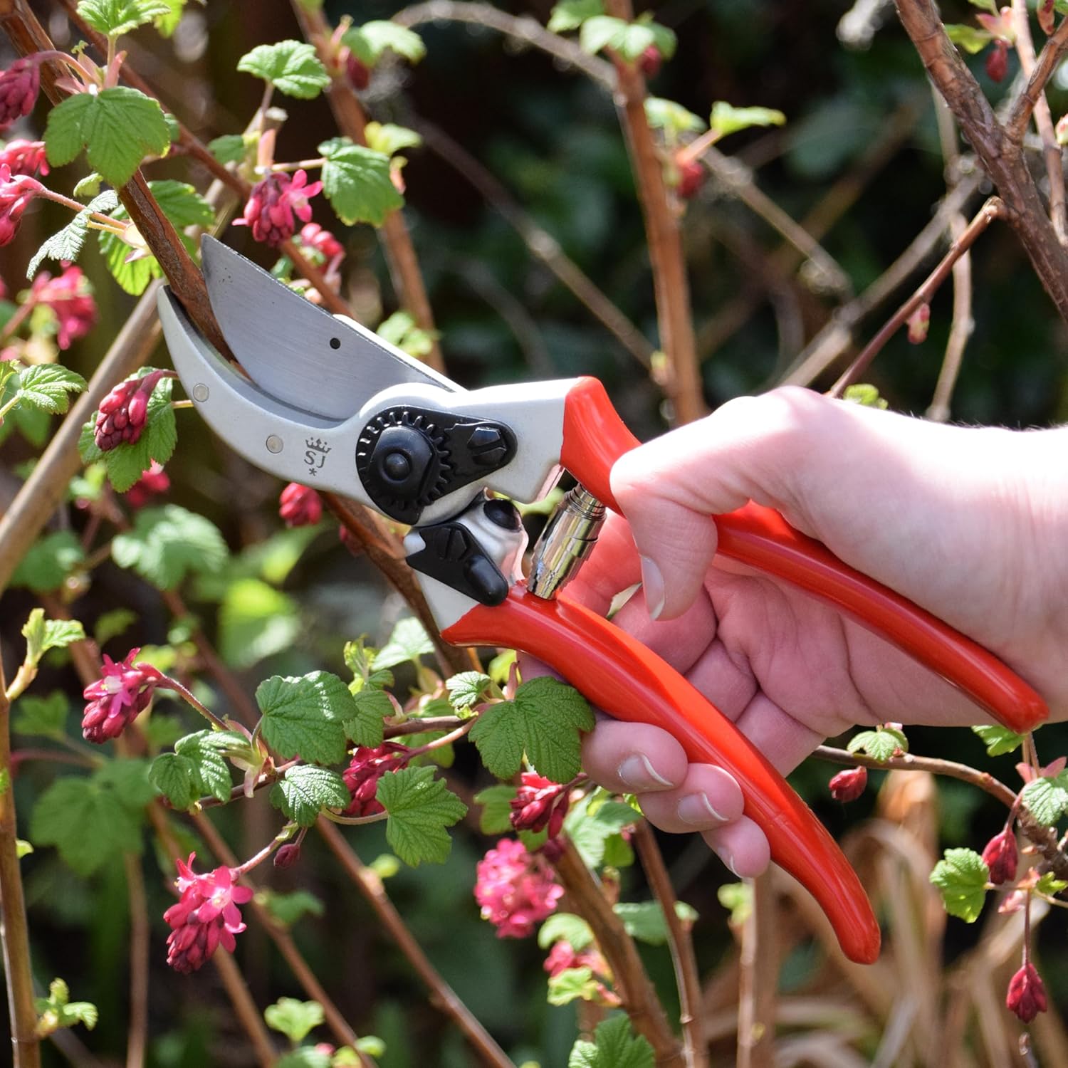 Spear & Jackson Razorsharp Heavy Duty Bypass Pruners, Drop-Forged High Carbon Steel Blades, Adjustable Blade Tension, Ergonomic Handles for Professional Pruning