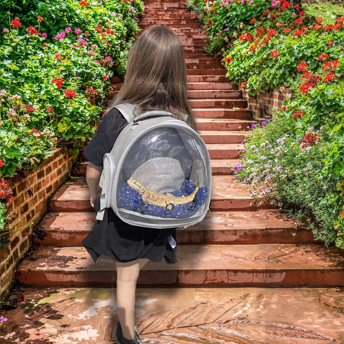 Bearded Dragon Carrier Backpack with Mommy Harness Set, Reptile Lizard Travel Carrier (Black, Mommy Harness)