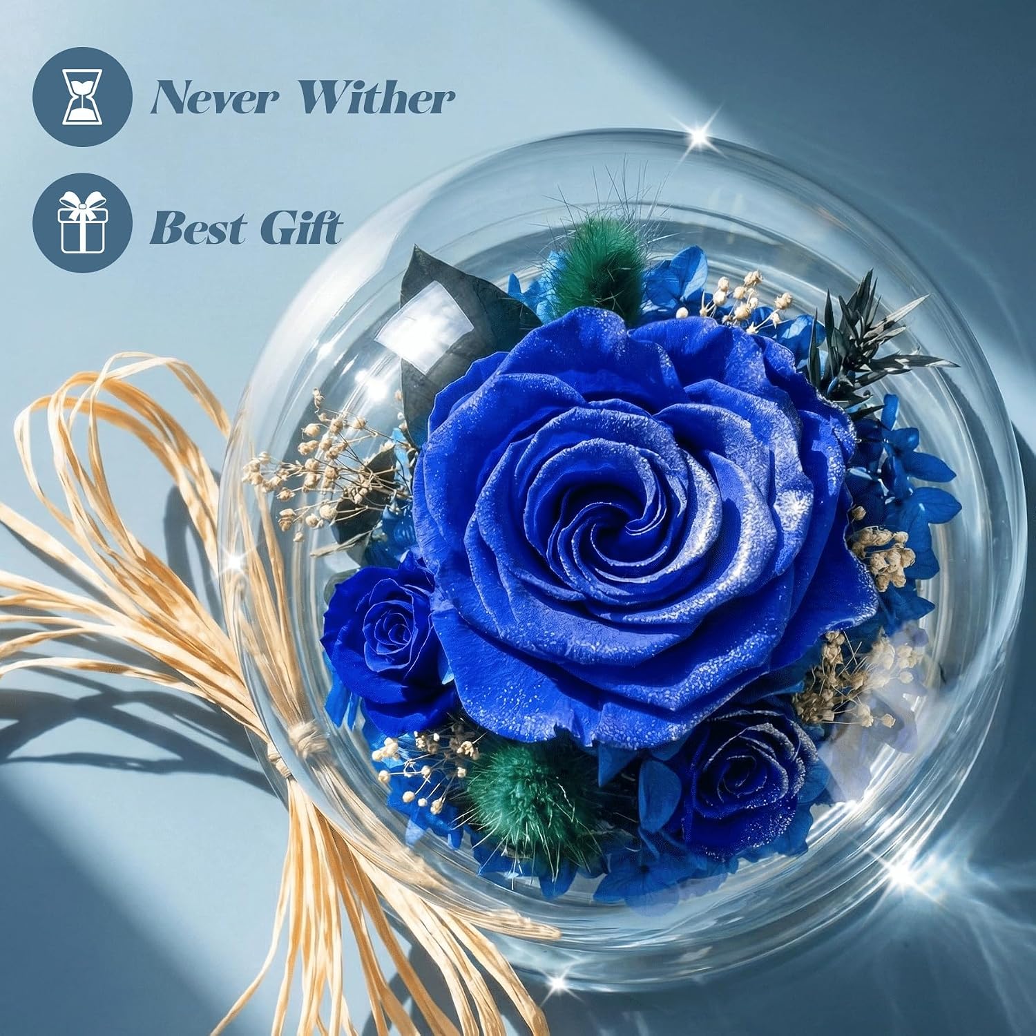 Mothers Day Birthday Gifts for Her Women Preserved Rose Forever Flower in Glass Dome Fresh Flowers Prime Valentines Day Anniversary Rose for Girlfriend Wife Sister Grandma (Blue)