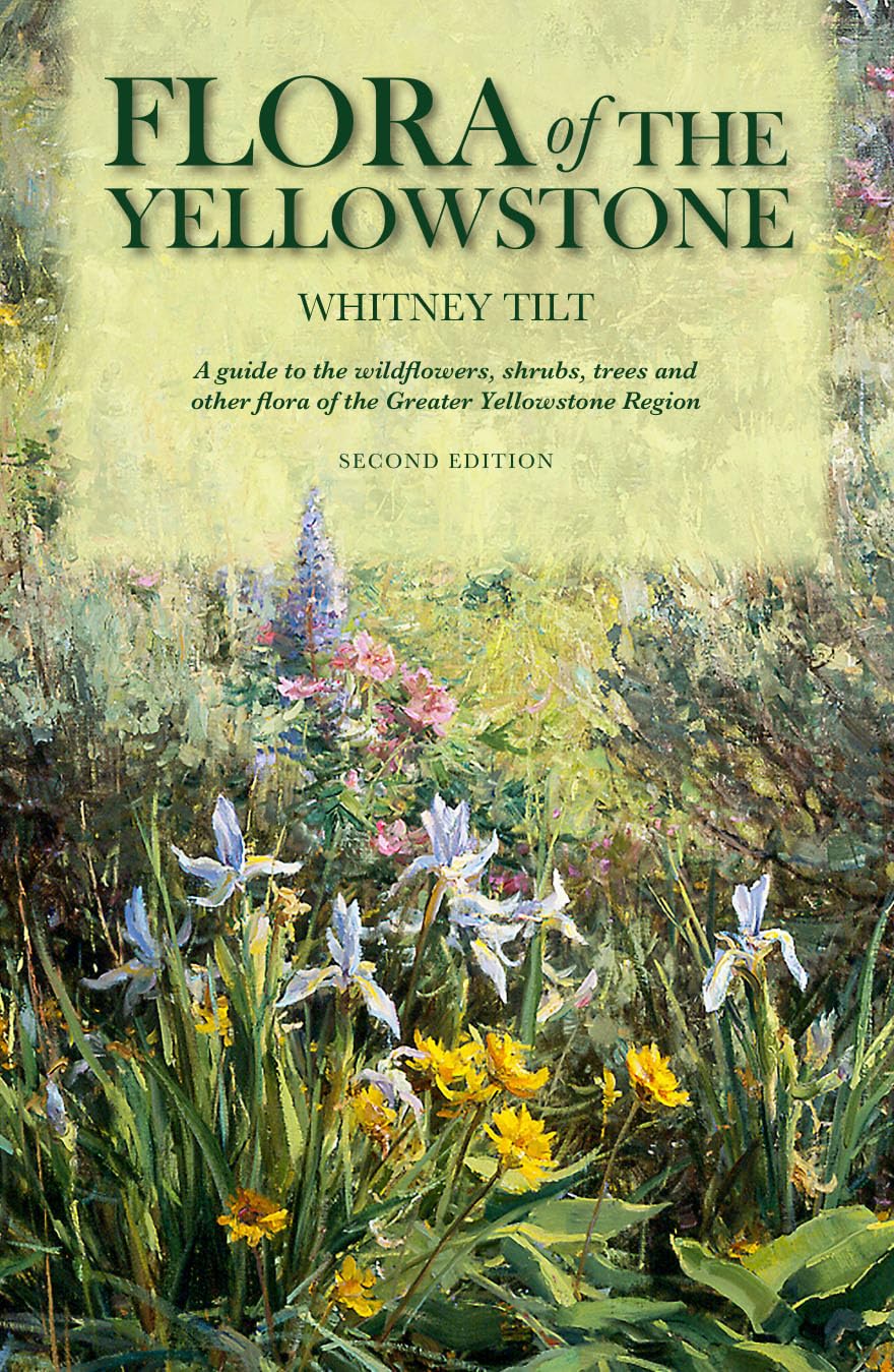 Flora of the Yellowstone: Flora of the Yellowstone (2nd Edition) : A Guide to the wildflowers, shrubs, trees and other flora of the Greater