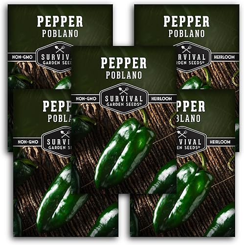 Miniatura 9 de Semilla de pimiento Poblano para plantar, 1 paquete con instrucciones para plantar y cultivar chiles anchos en tu huerto casero, variedad de