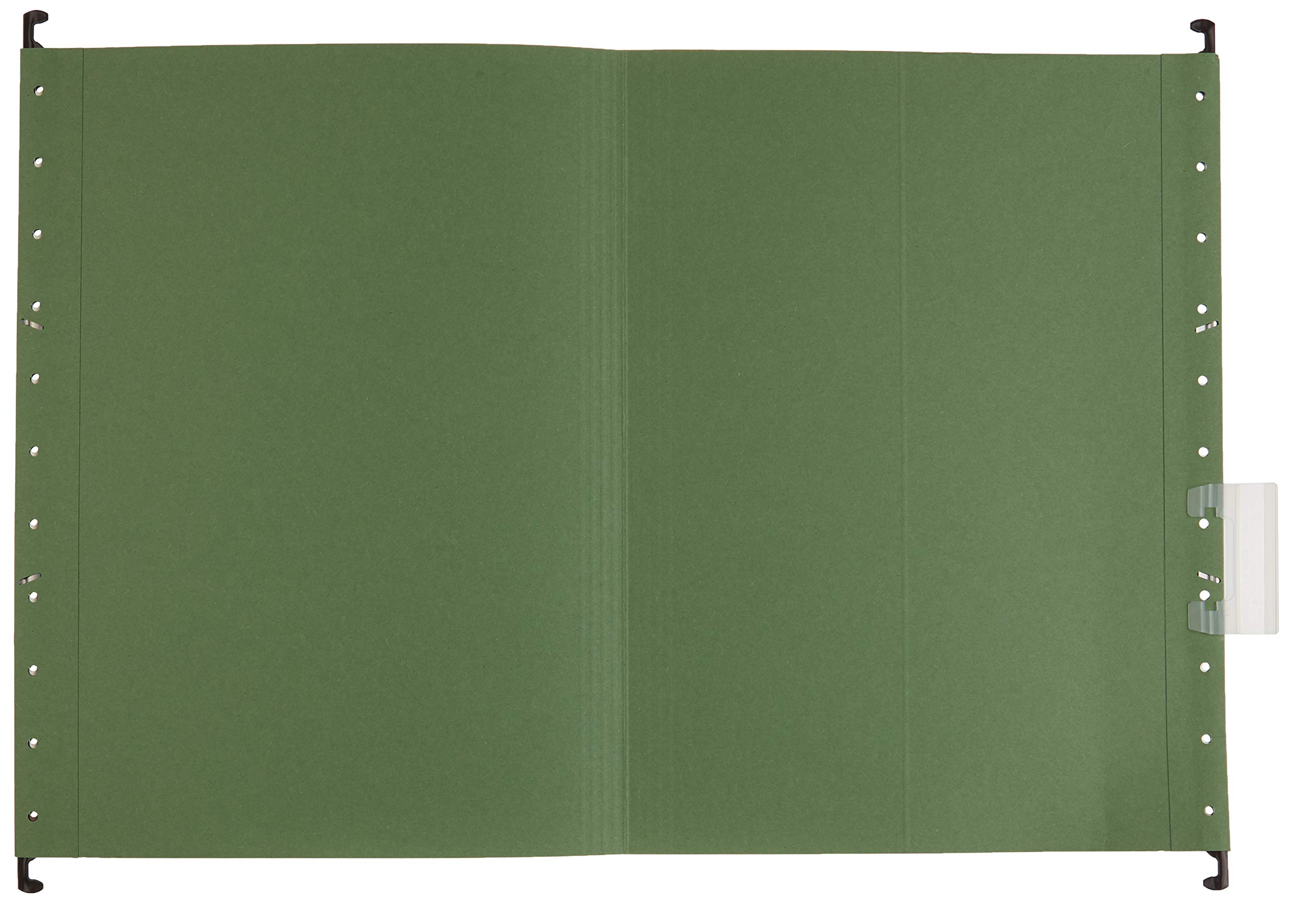 LEITZ DELTA cartella sospesa per cassetti 330/V - Verde - 65150055