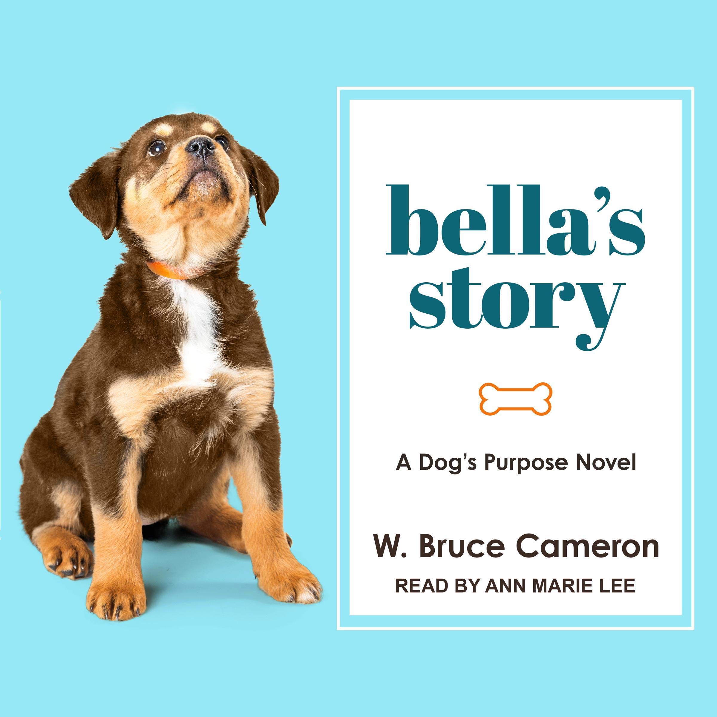 Cover art for Bella's Story