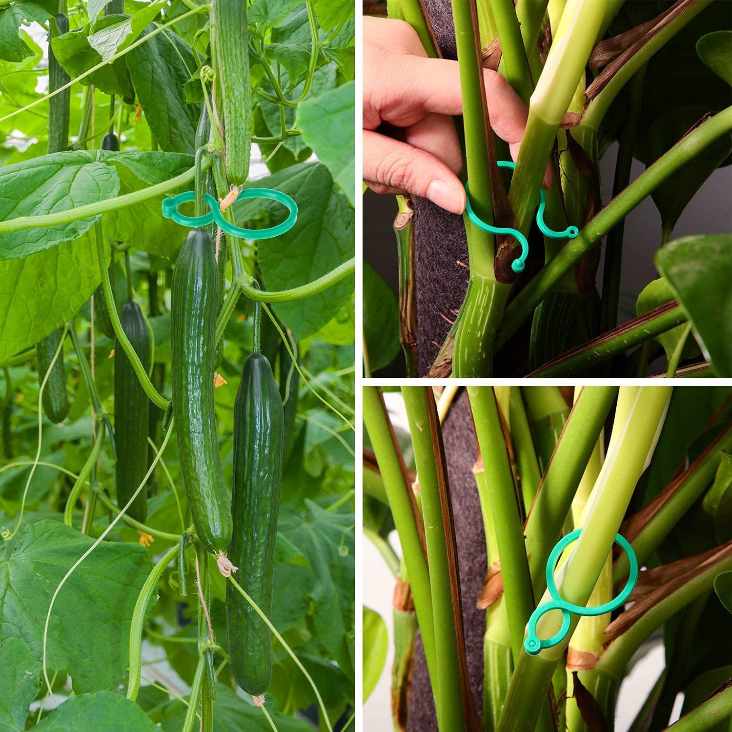 Clip per Piante Sicure, 100 Pezzi, Clip per Piante Piccole per Trecce e