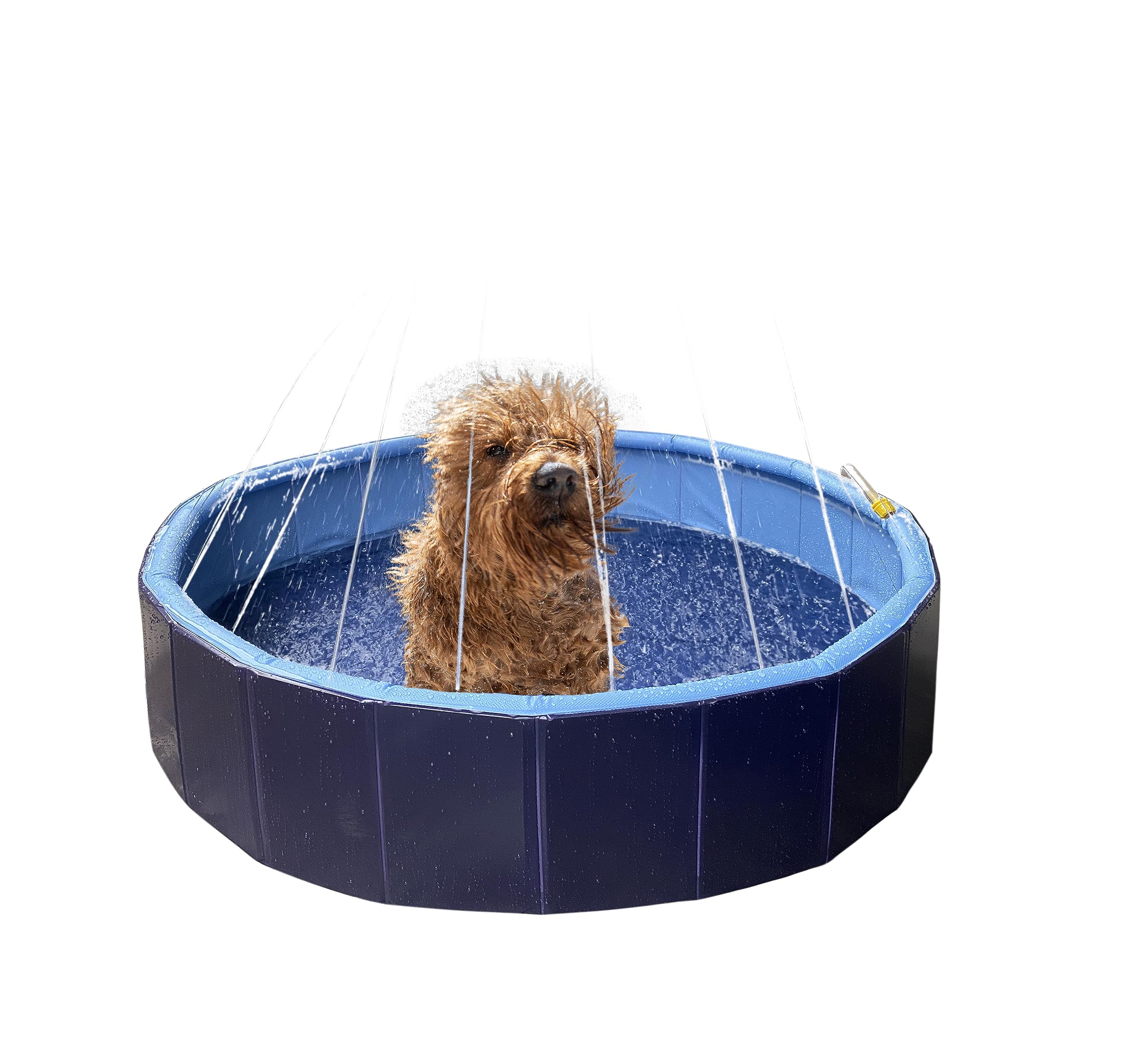 Piscine Chien - Piscine rafraîchissante Sprinkle Bleu et Gris foncé - Jets d'eau intégrés - raccord pour Tuyau d'arrosage - Fond antidérapant - sans Pompe - 120 x 30 cm - Flamingo