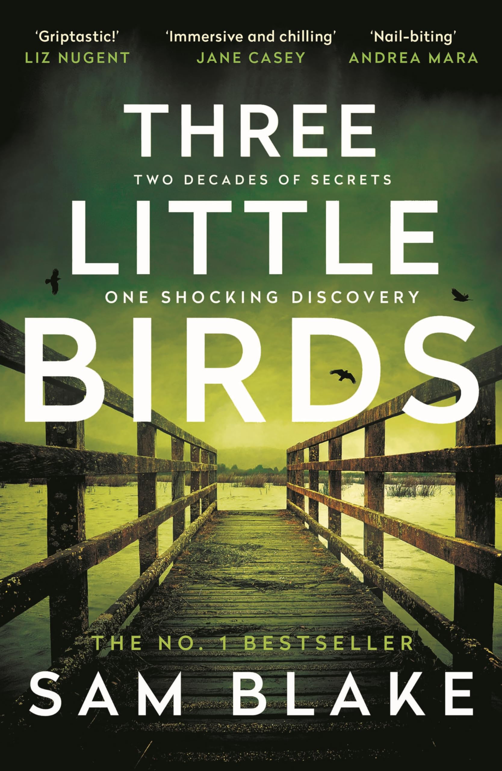 Three Little Birds by Sam Blake (Paperback Book)