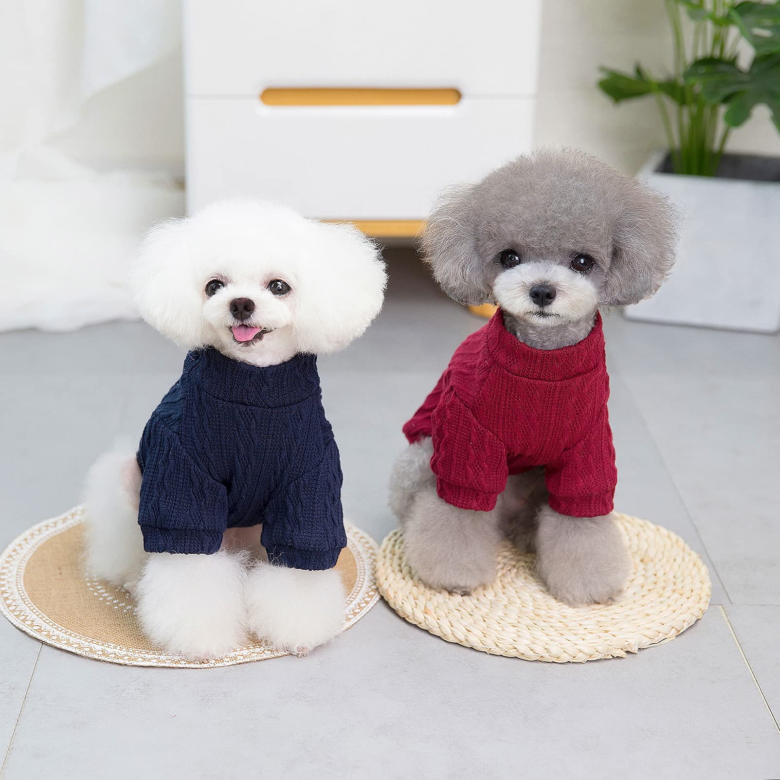 SMALLLEE_LUCKY_STORE