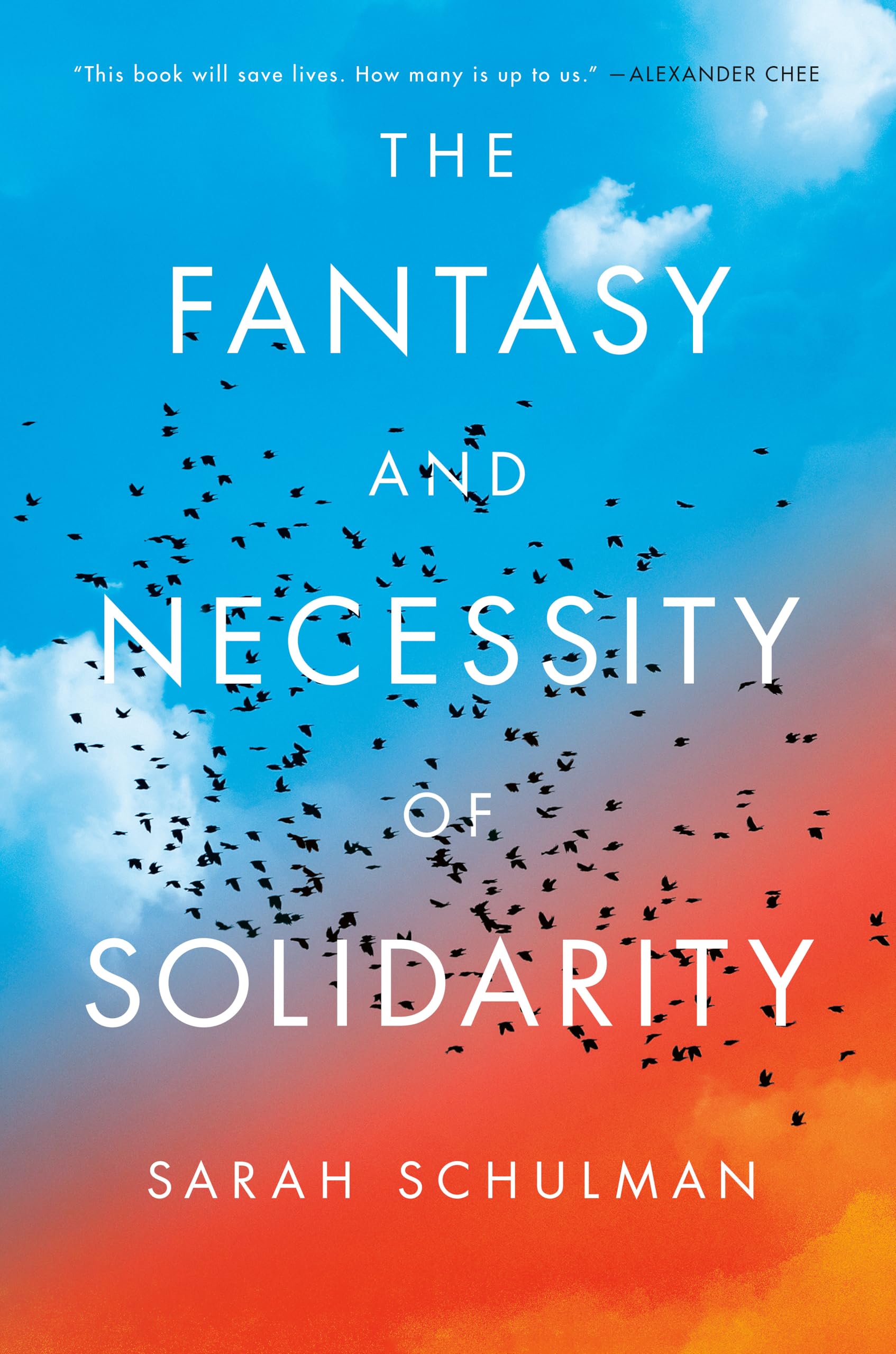 The Fantasy and Necessity of Solidarity by Sarah Schulman HARDBACK 9780593854259