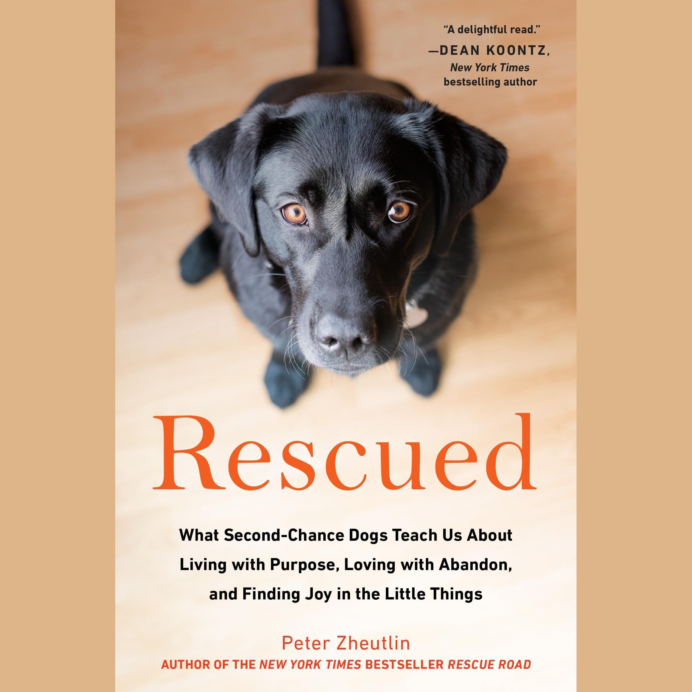 Cover art for Rescued