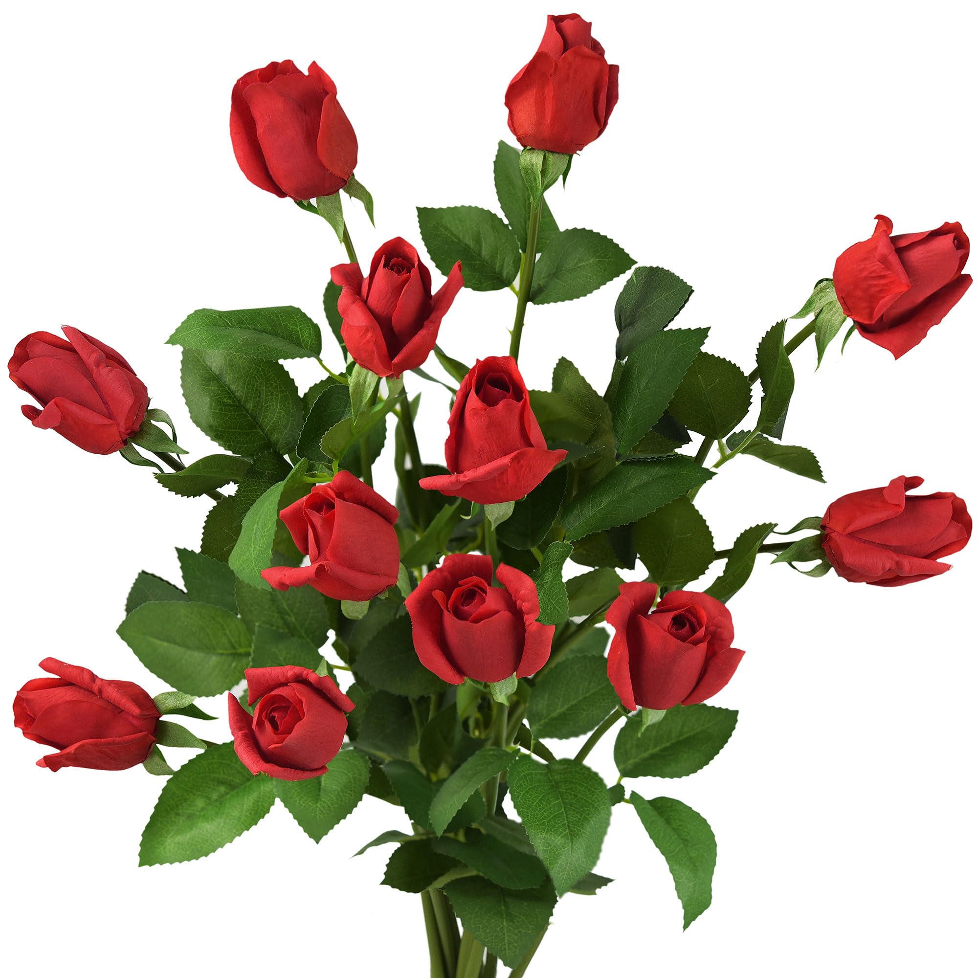 product_img5