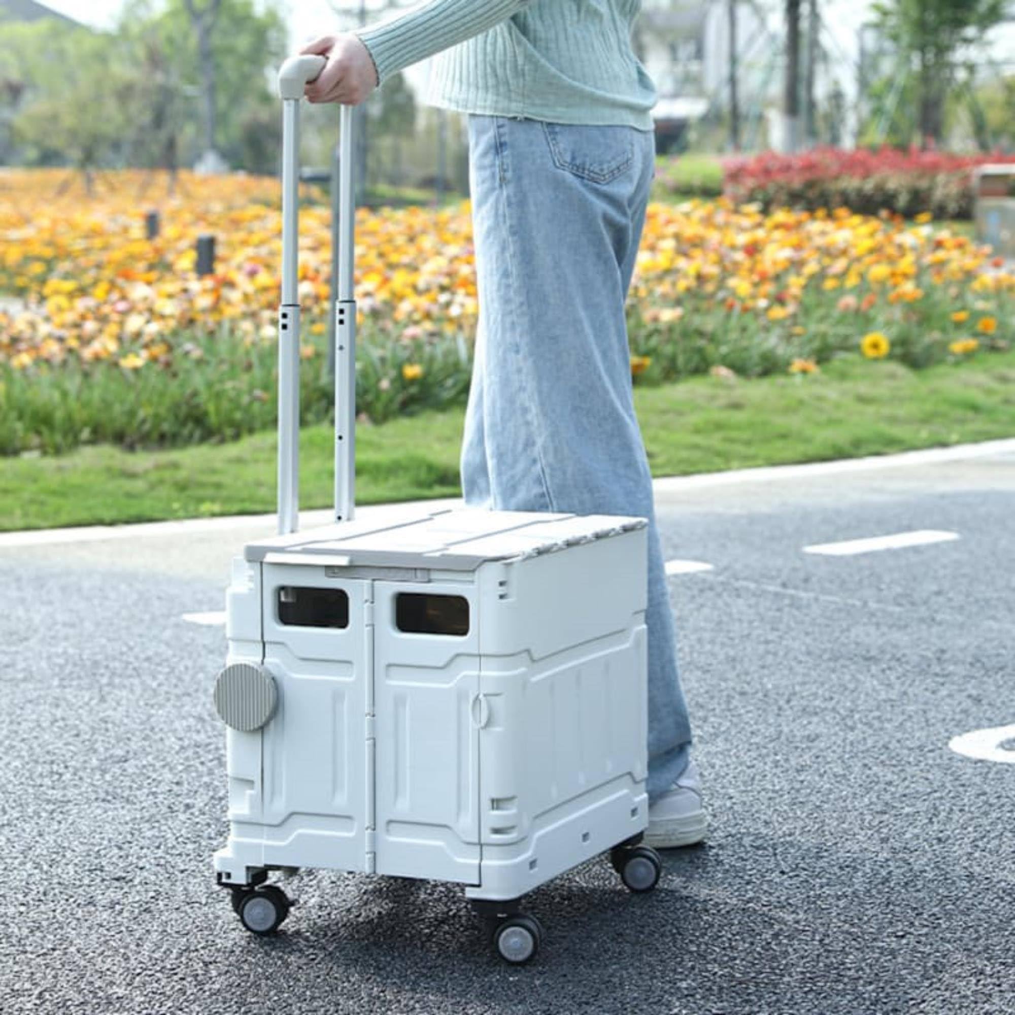 Well Home Carro de la Compra Plegable Tipo Caja con Tapa y Ruedas, Caja de Almacenaje para Maletero de Coche, Asa Telescópica Reforzada, Capacidad 56L