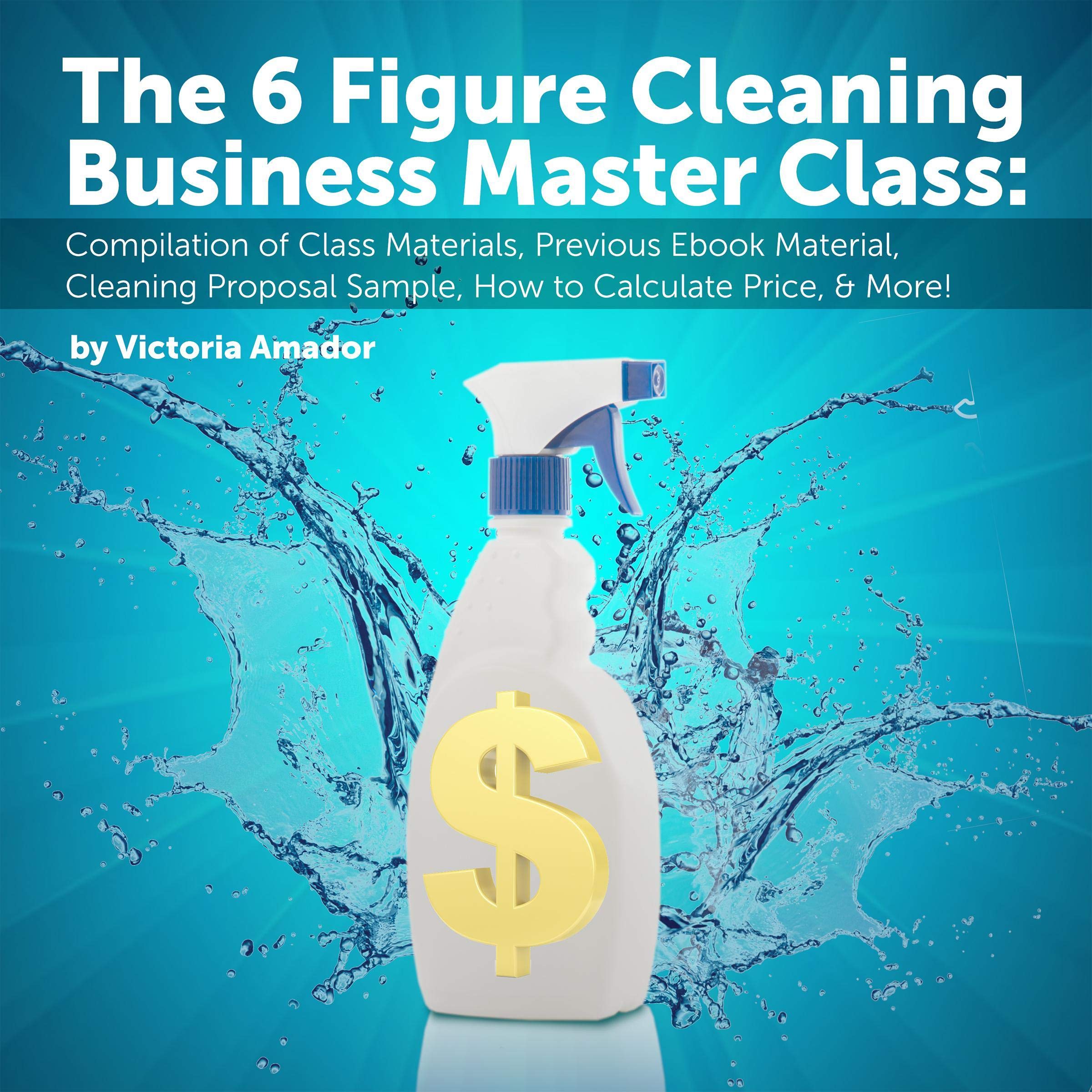 The Six Figure Cleaning Business Master Class