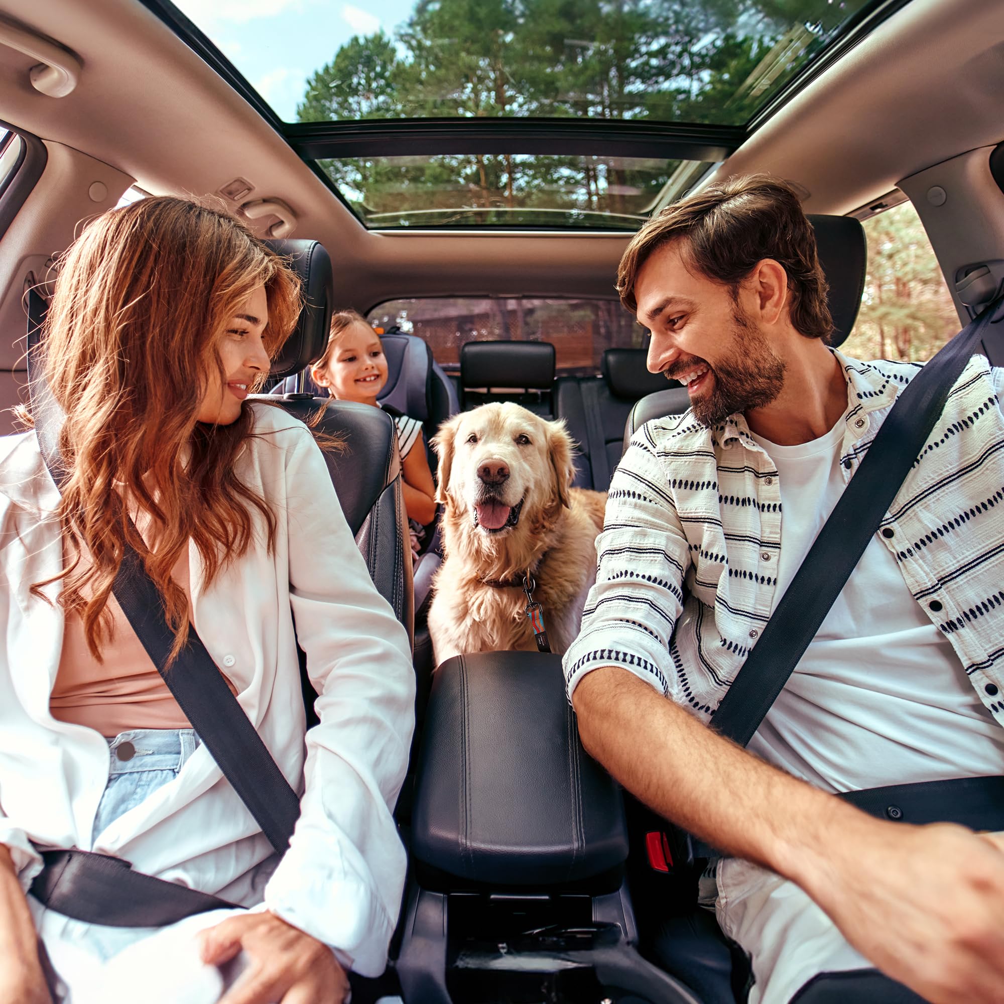 AYADA Ceinture Chien Voiture Securite Réglable Nylon Elastique Antichoc,Attache Chien Voiture Voyage Indéchirable Harnais Chat Animaux Compagnie Laisse Agrafe Métal Accessoires Mousqueton (Bleu Ciel)