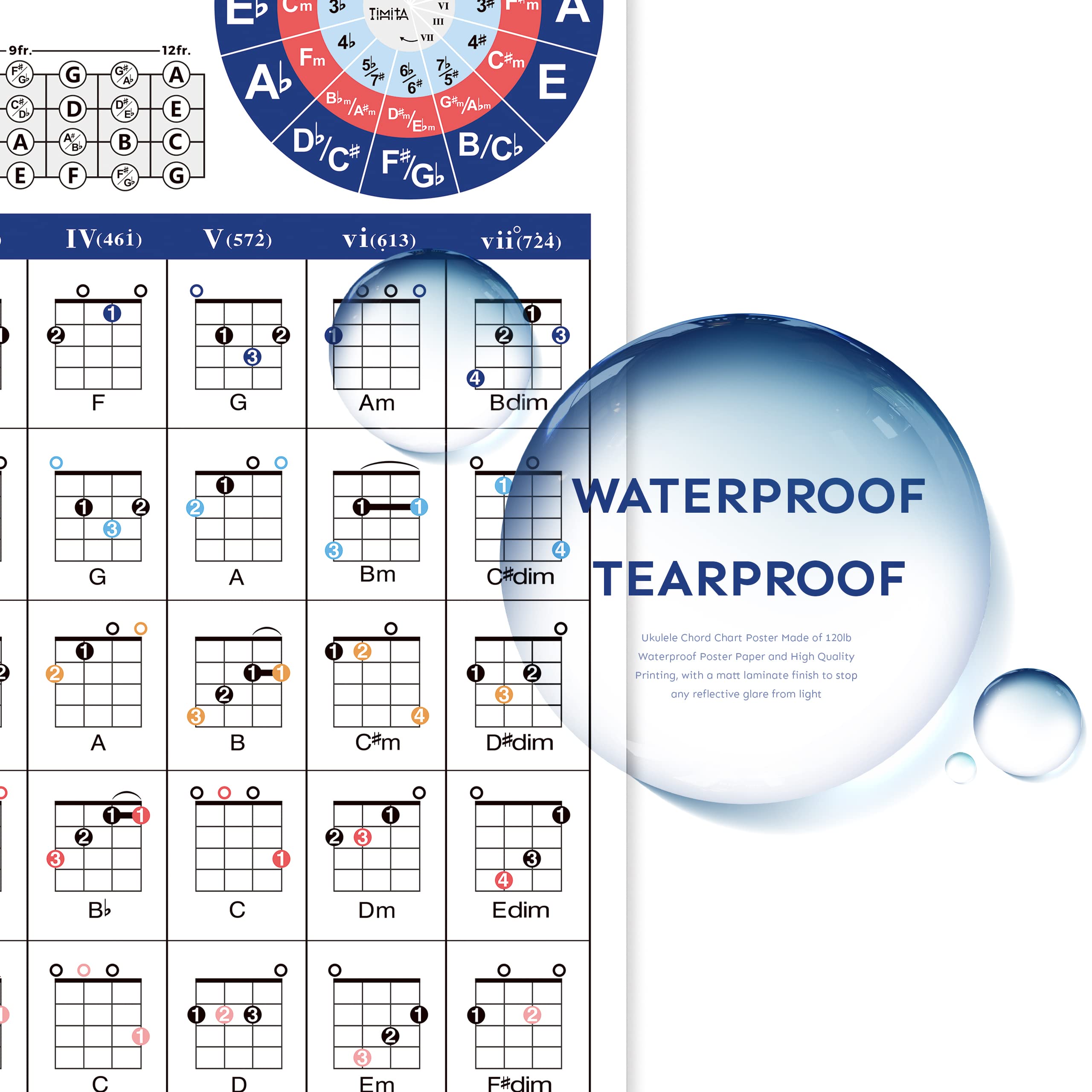 Buy Ukulele Chord Poster Chart, Educational Reference Guide for