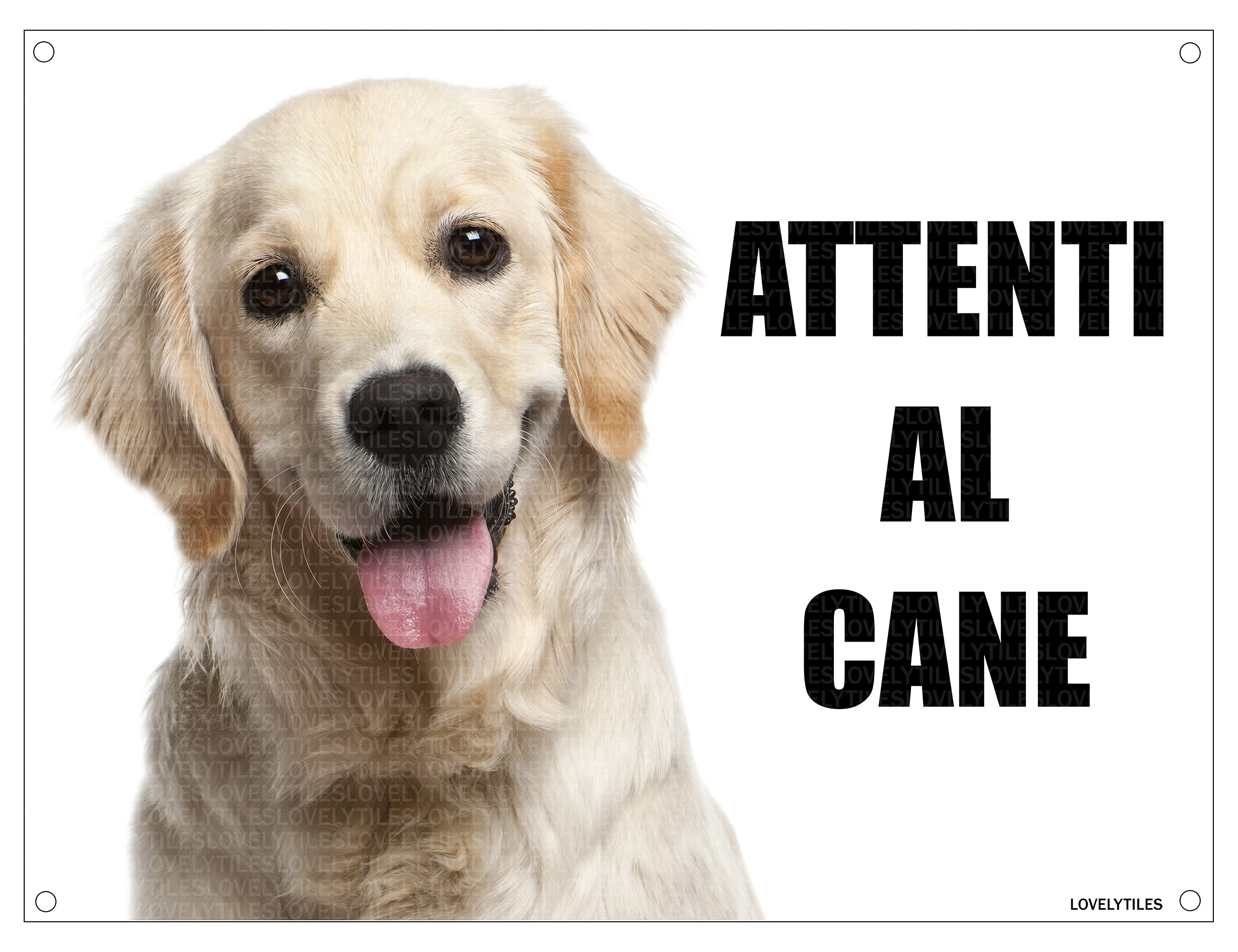 Cartello 'Attenti Al Cane' In Metallo 15x20cm - Targa Personalizzabile - Foto 7