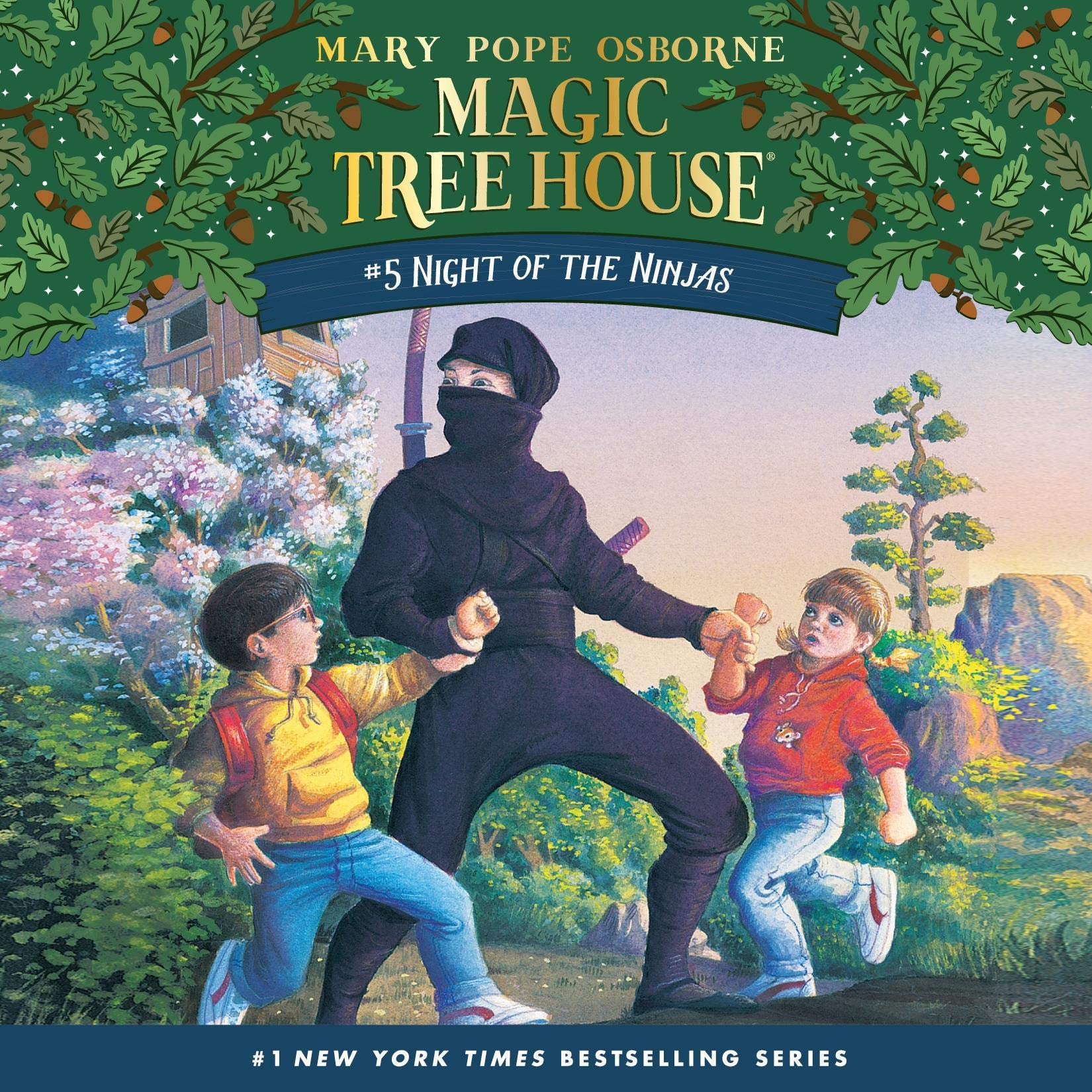 Cover art for Night of the Ninjas