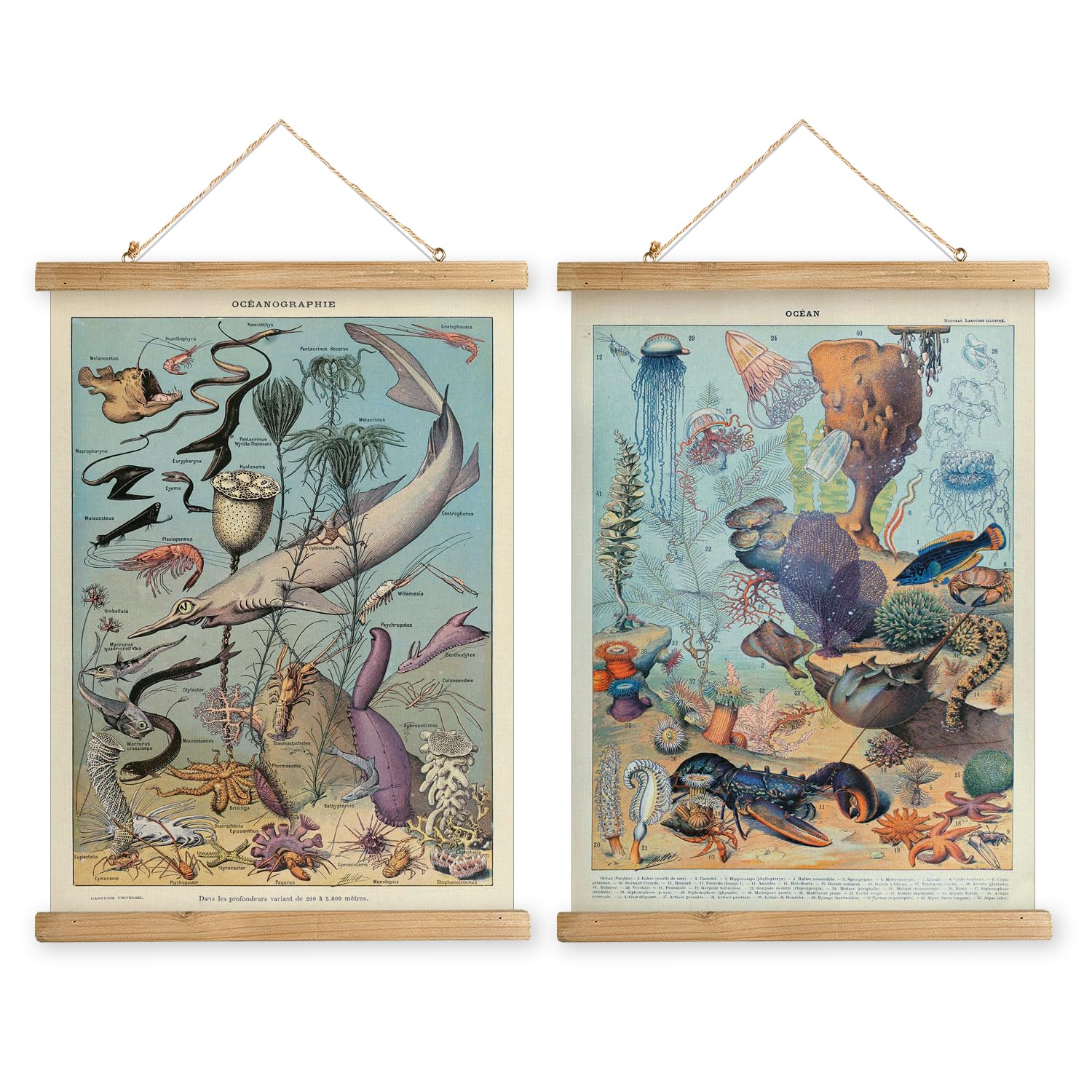 Amazon.com: 2 Pack Vintage Poster Hanger Frame, Retro Style