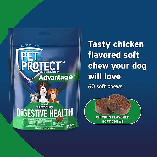 Miniatura 6 de Pet Protect Suplemento de salud digestiva con probióticos para perros, lactoquilo formulado por veterinarios, masticables suaves con sabor a pollo