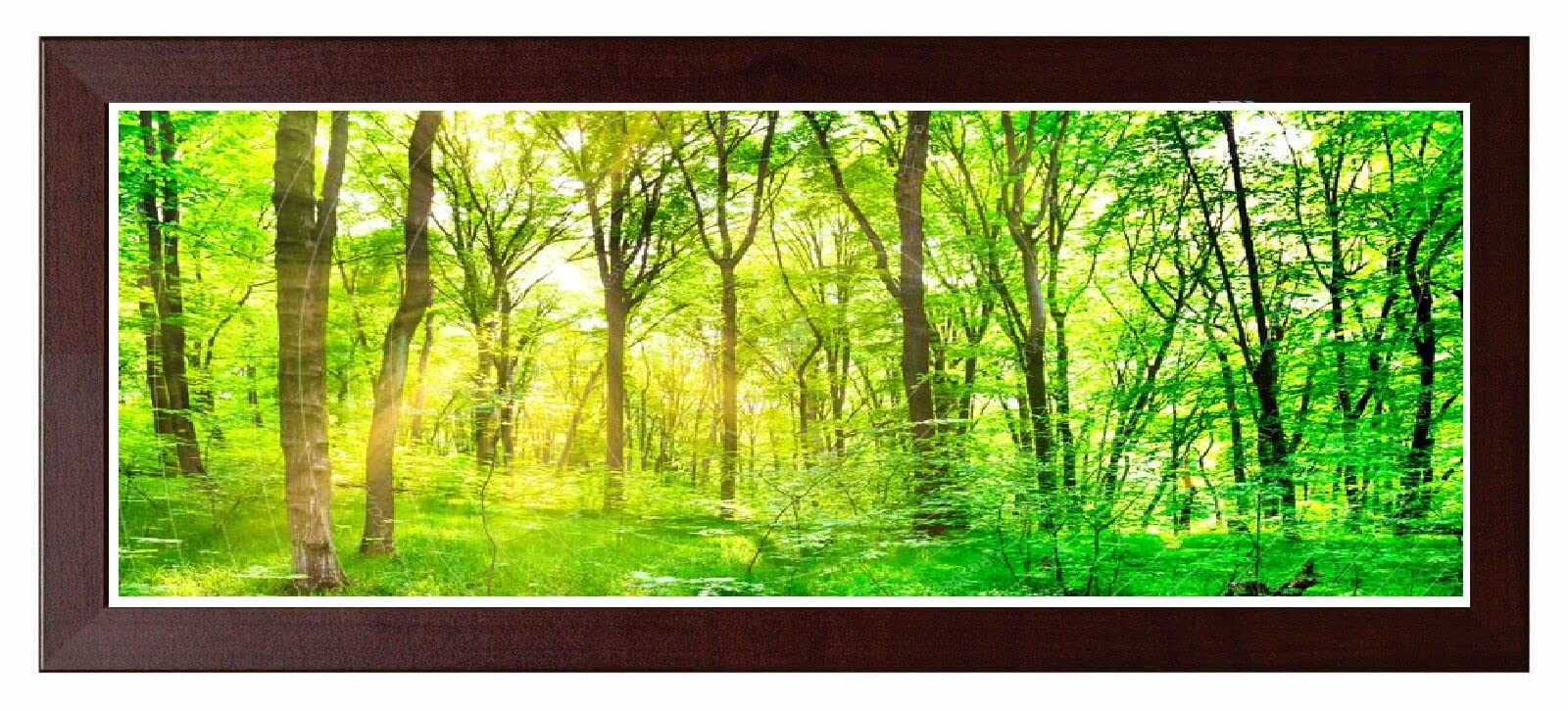 Modern Picture Photo Frame Acrylic Glass Wood Poster Frame Dark Oak 70cm x 30cm Wall Mounted Frames