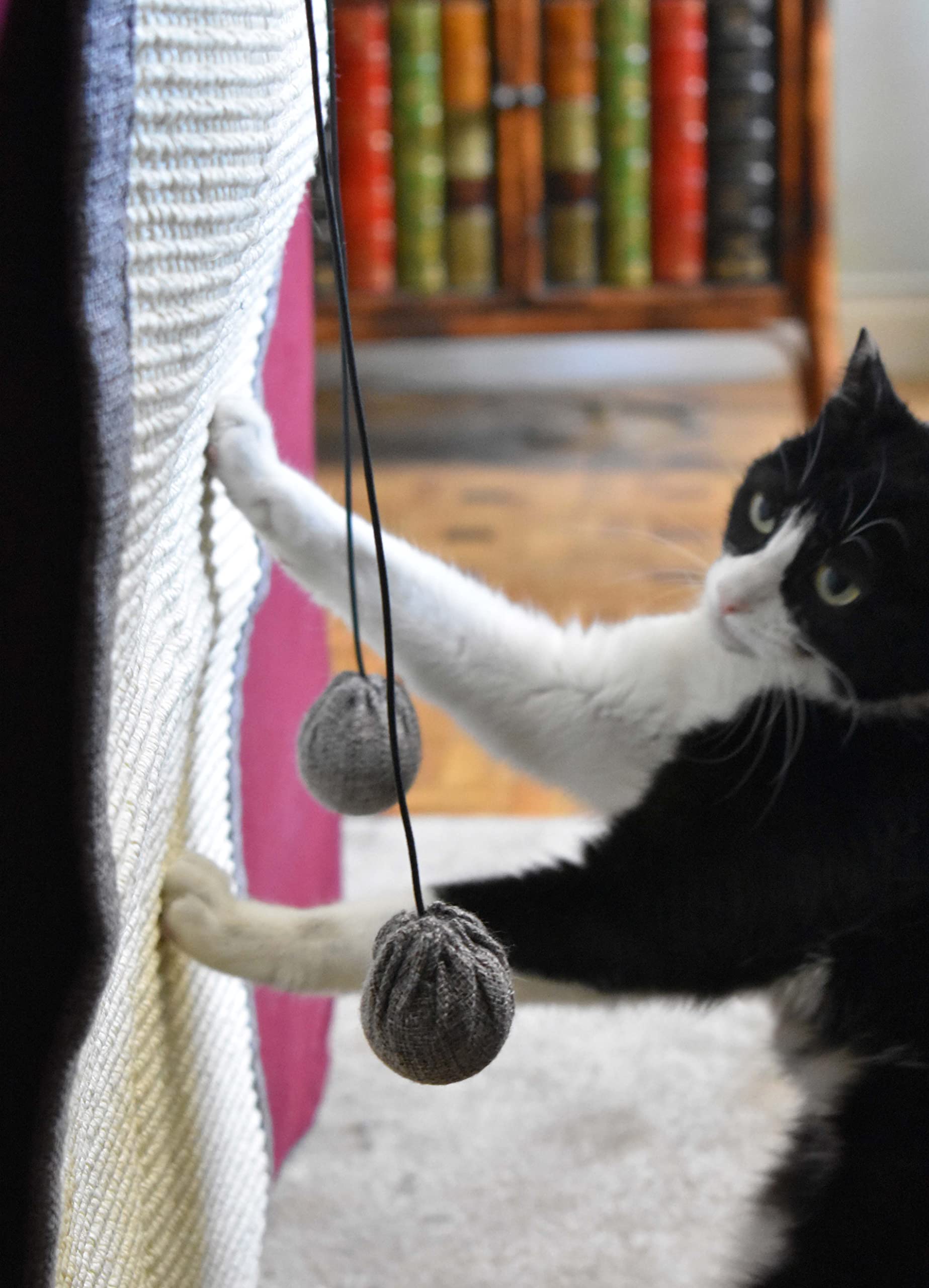 Set 2x tiragraffi divano per gatti e rullo smacchiatori divano - Proteggi divano gatti graffi con palline elastiche giocattolo e tasche - affilaunghie sisal naturale per il tuo gattino