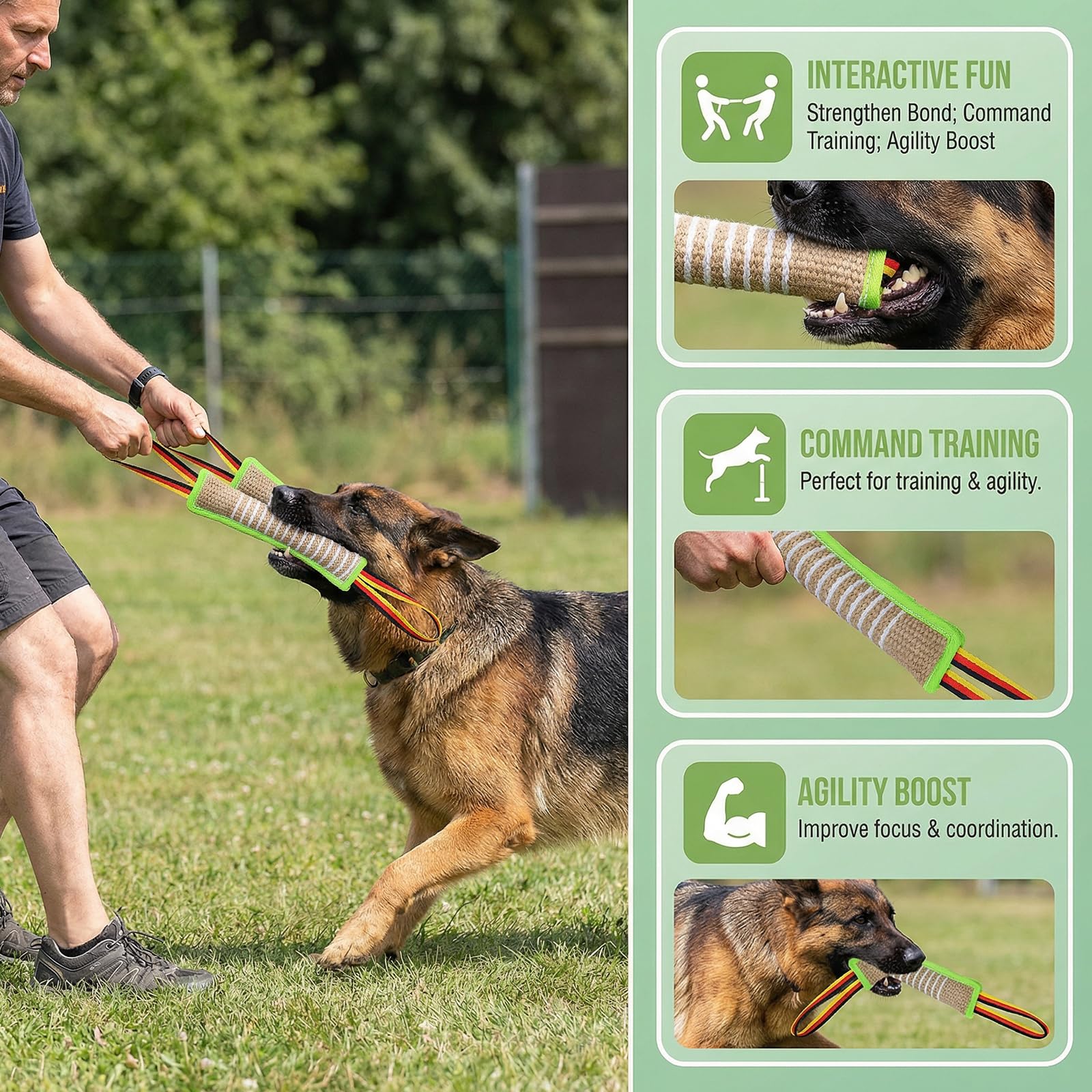 Giocattolo per Cani Manicotto 30cm 2 Maniglie Addestramento Gioco Morbido Cuscino Morso Interattivo Verde