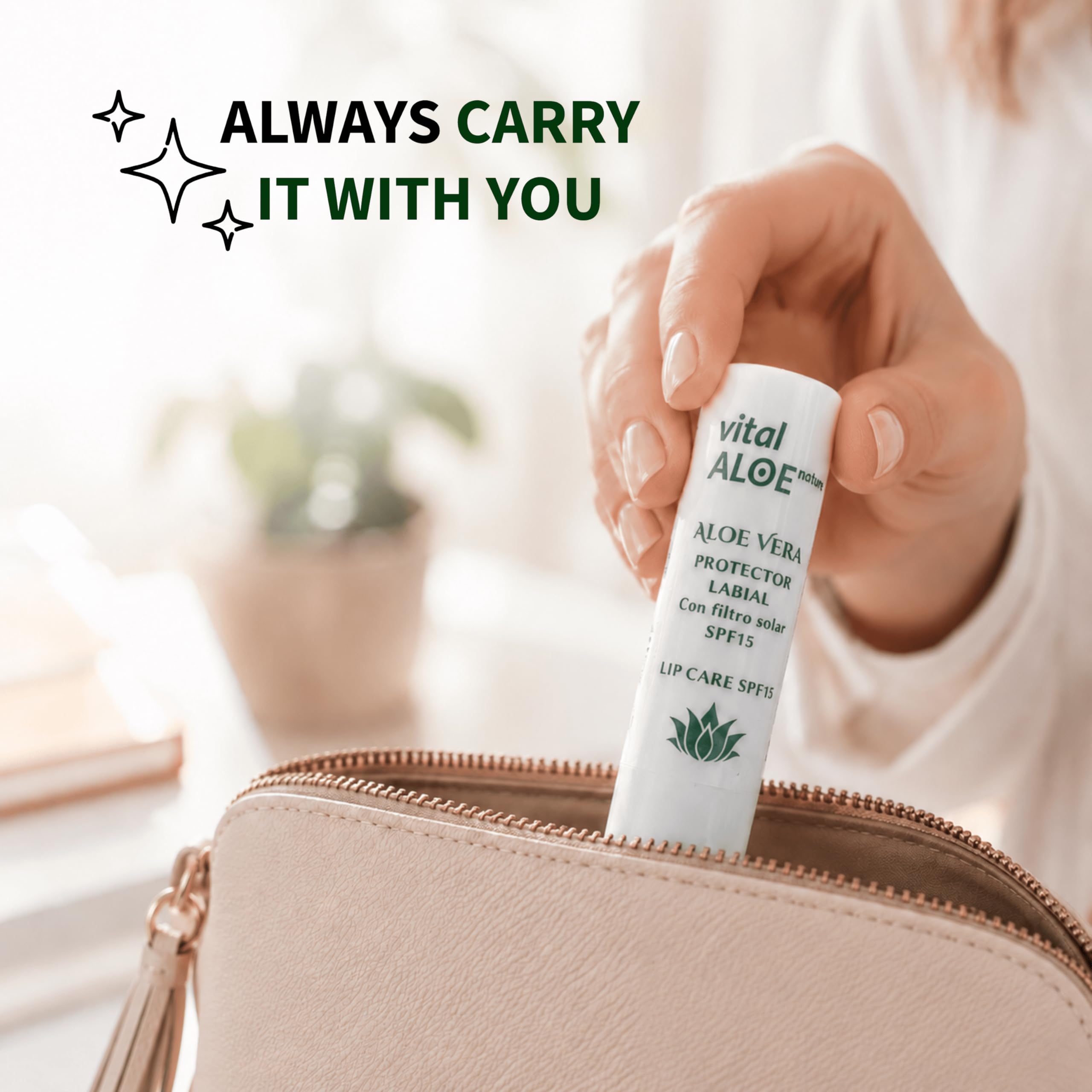 Balsamo Labbra Aloe Vera SPF 15 | 5 unità | Stick Labbra Idratante con Filtro Solare | Cura Quotidiana per Labbra Secche | Texture Morbida Non Appiccicosa | Ideale Estate e Inverno