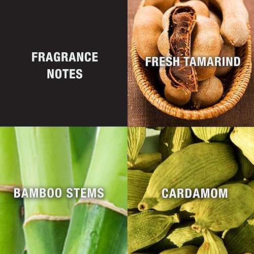 Miniatura 3 de Lucky Brand Colonia en aerosol Lucky You de 100ml para hombres Colonia Spray