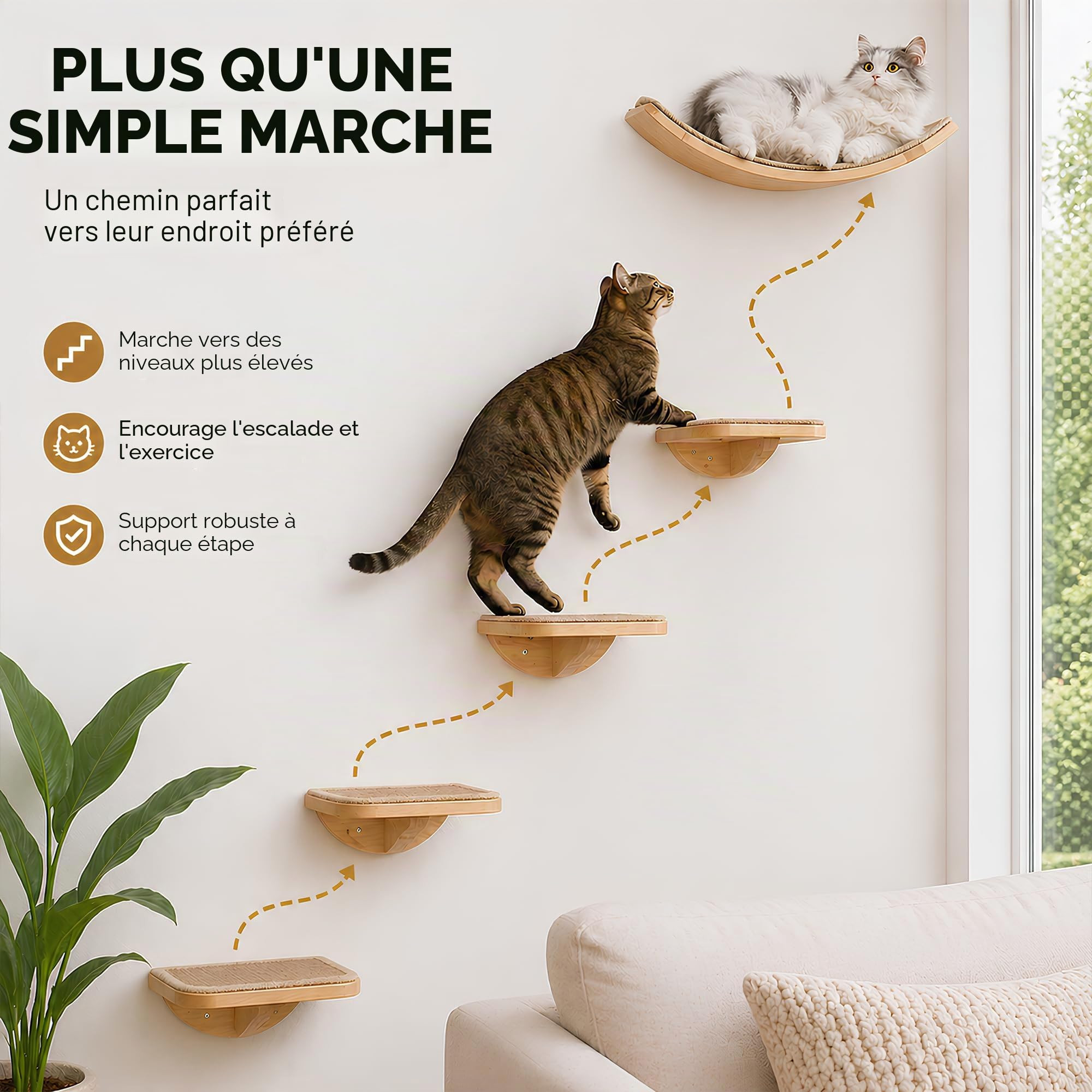 Lot de 3 escaliers muraux pour chat avec 2 marches d'escalade et plates-formes incurvées - En bois - Pour escalade, jouer, dormir