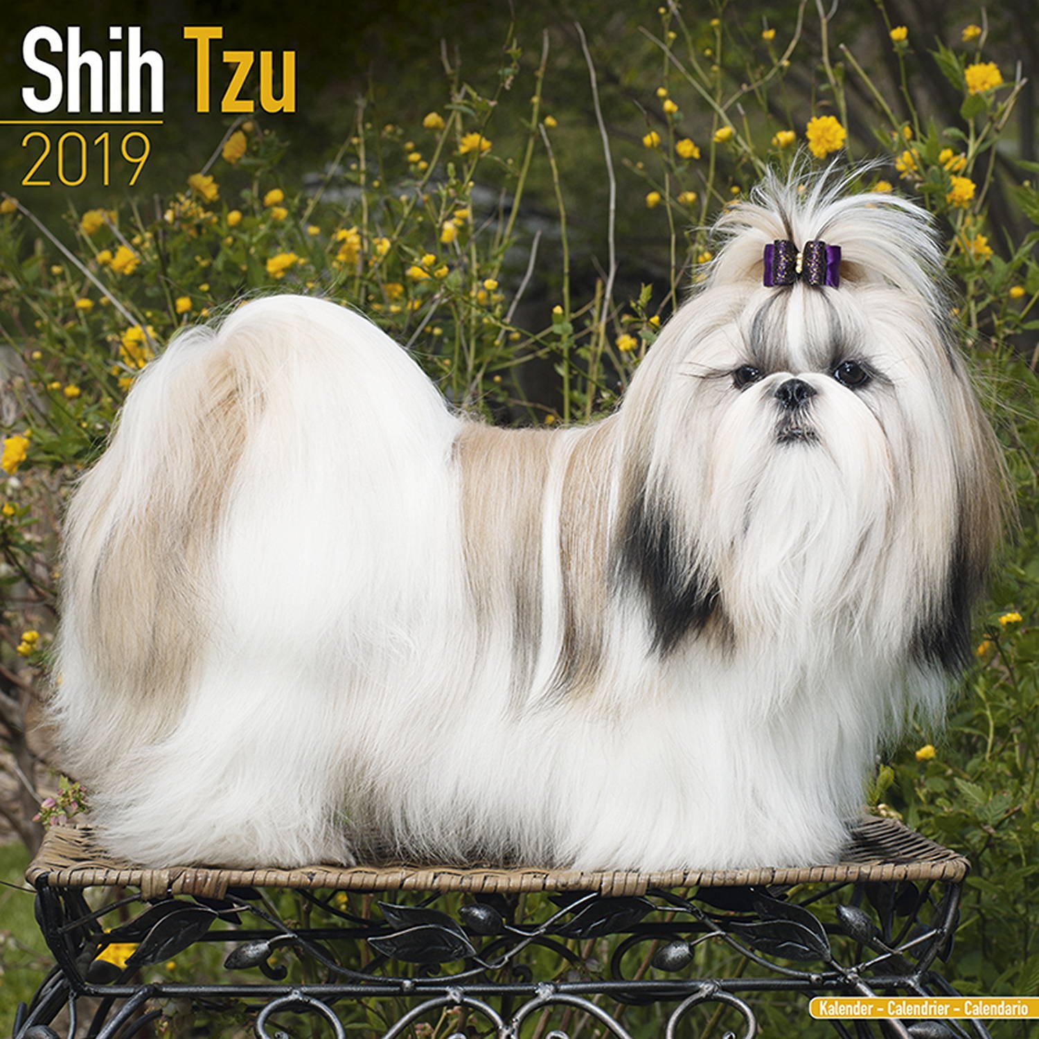Shih Tzu Calendar - Dog Breed Calendars - 2018 - 2019 Wall Calendars - 16 Month by Avonside