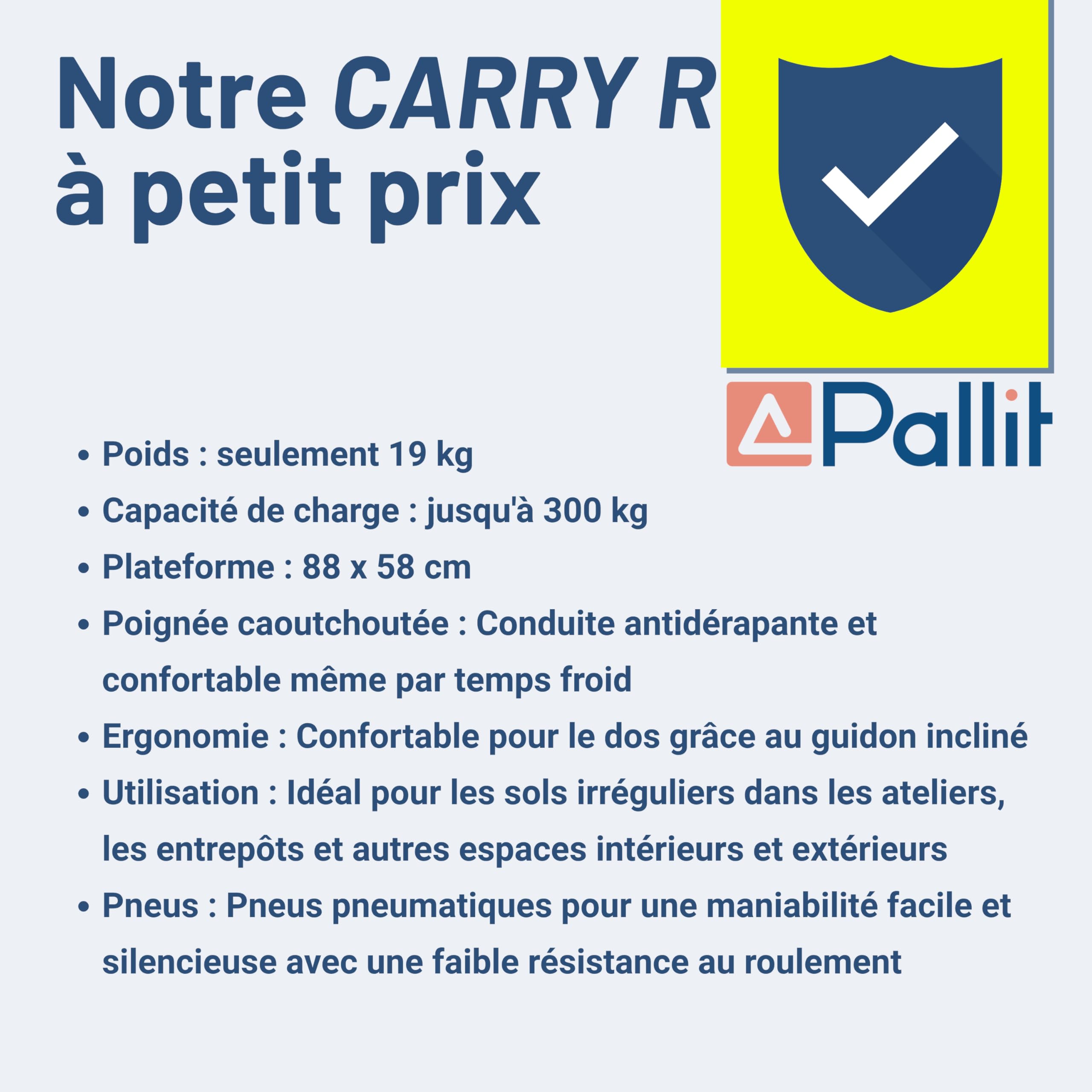 Pallit Chariot de Transport Tout Terrain - Roue Gonflable, 300 kg, Plateforme Rabattable 880 x 580 mm, Chariot a roulettes pour Charge Lourde - Carry-R